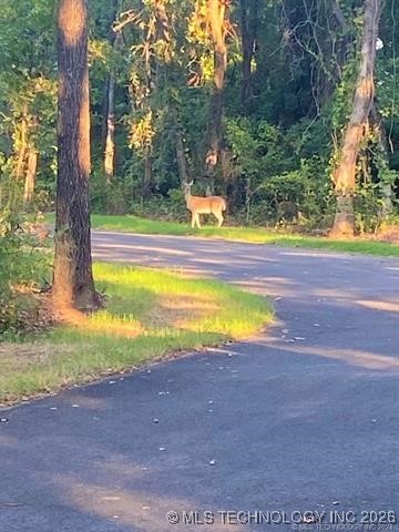 12101 Longboard Loop