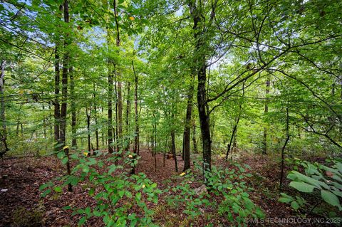 493 Moonshiner Springs Trail Broken Bow OK 74728