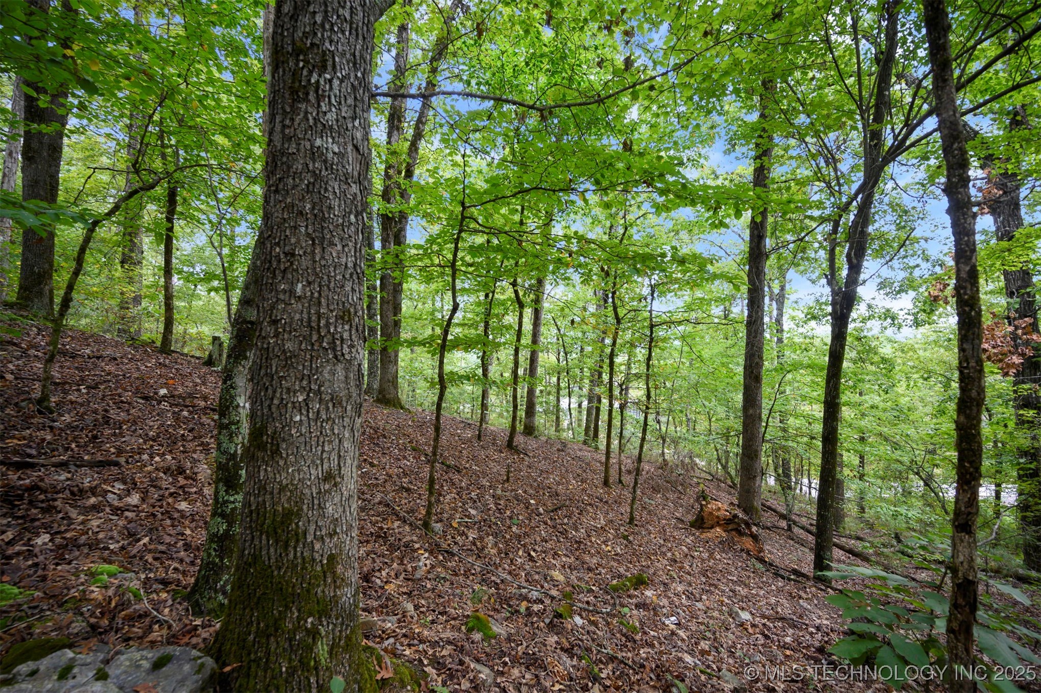 493 Moonshiner Springs Trail