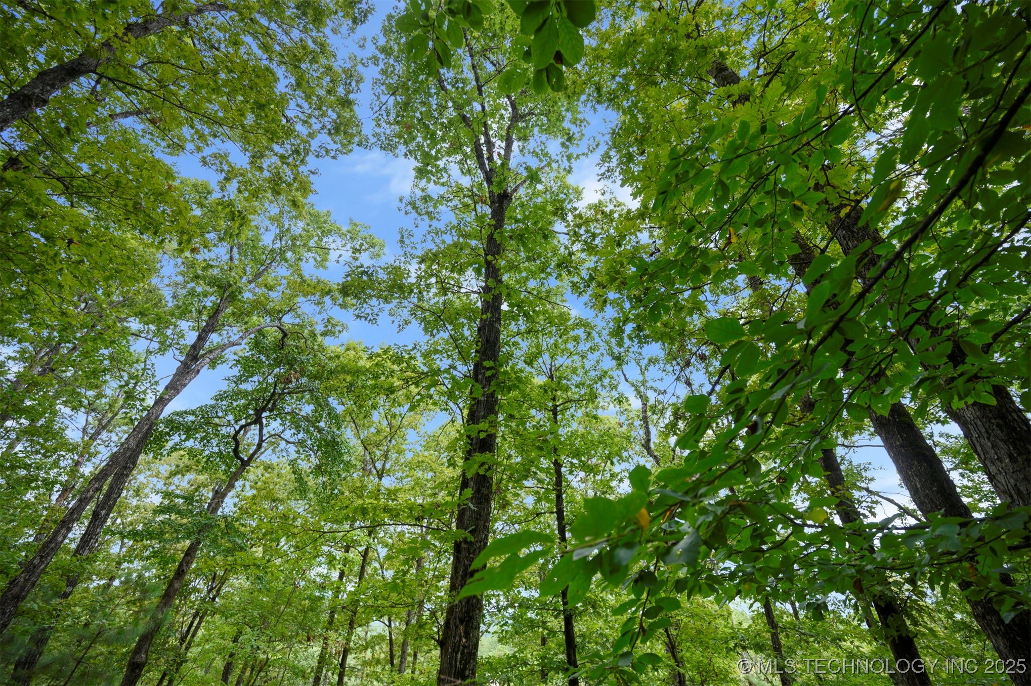 493 Moonshiner Springs Trail