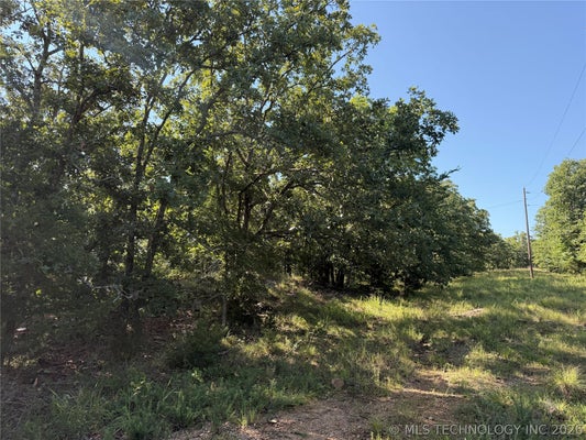 ADDRESS PRIVATE, ATOKA, OK 74525 - Image 80ce559b9ccf2a4707e7c06f119d9a63/4168113232