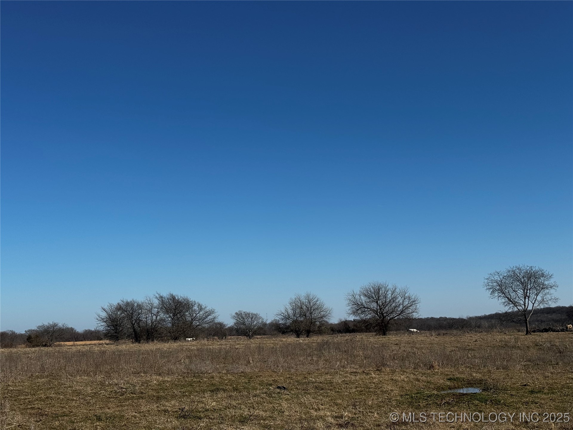 17826 US Hwy 70