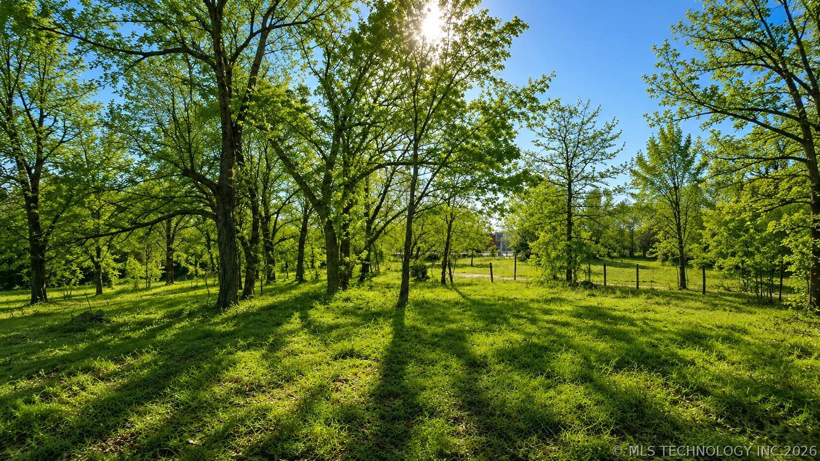 Expansive green space featuring mature trees, natu
