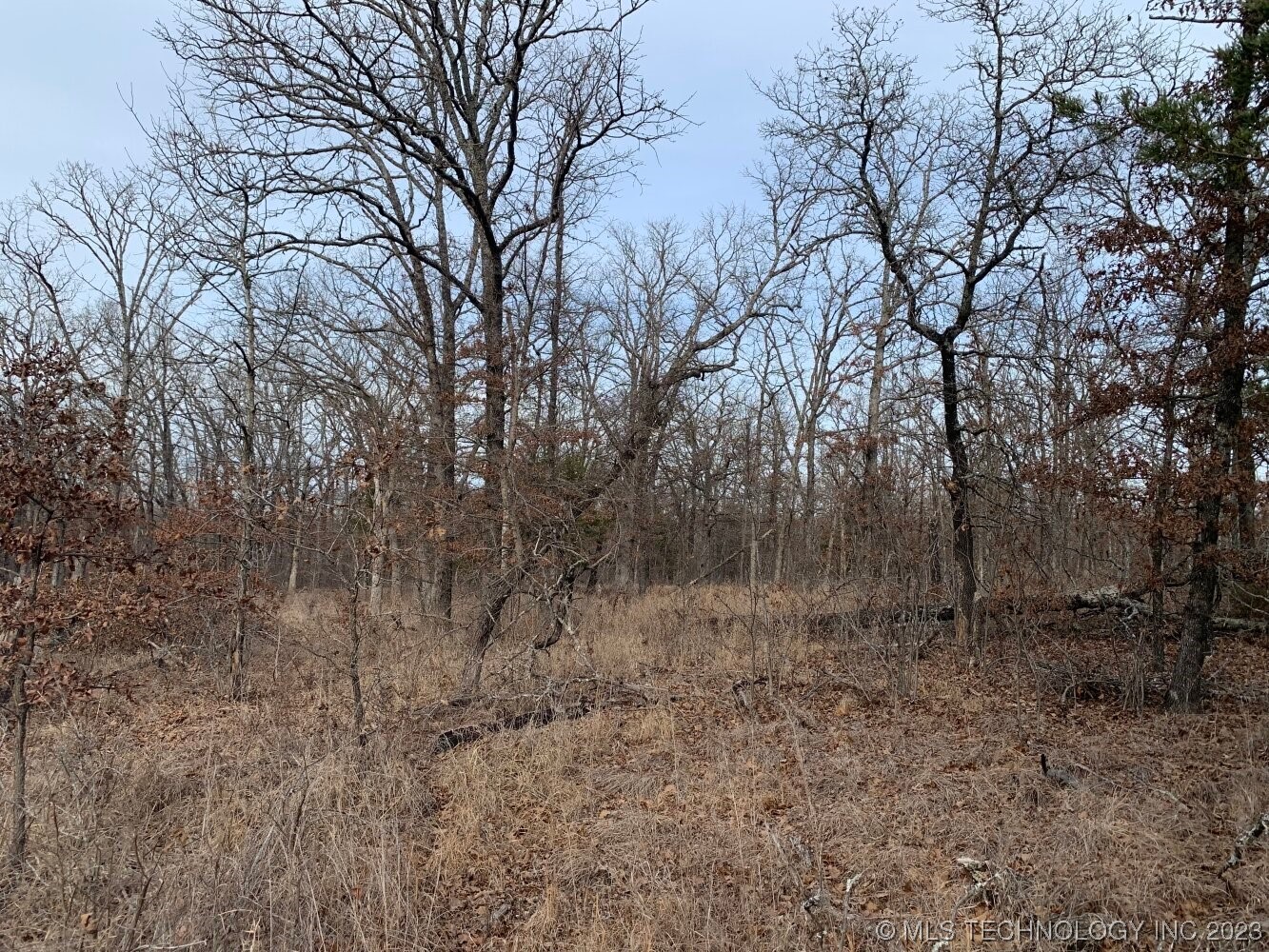 Photo 3 of 31 of 0002 W 281st Street S land