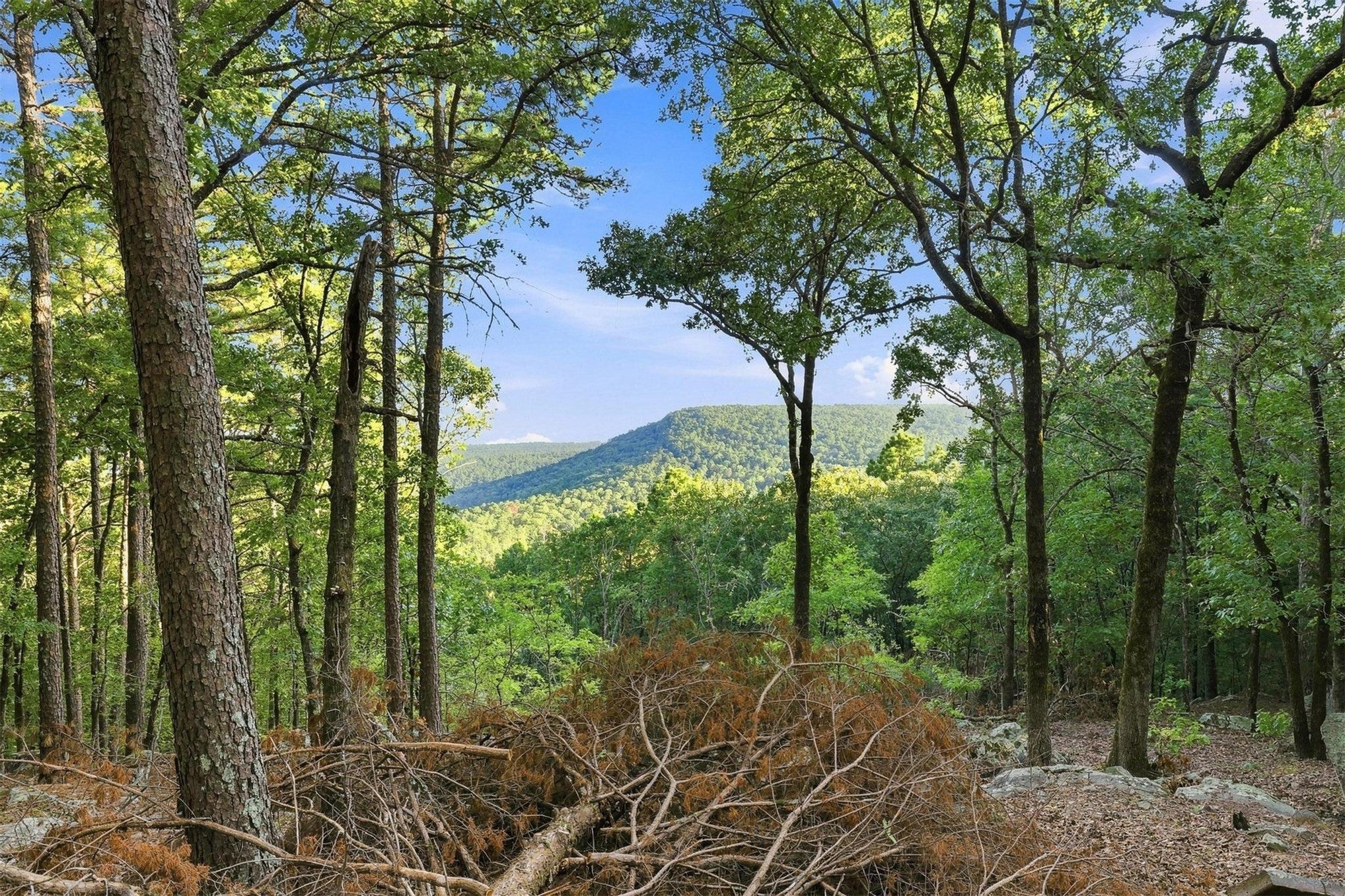 00 Overlook Trail