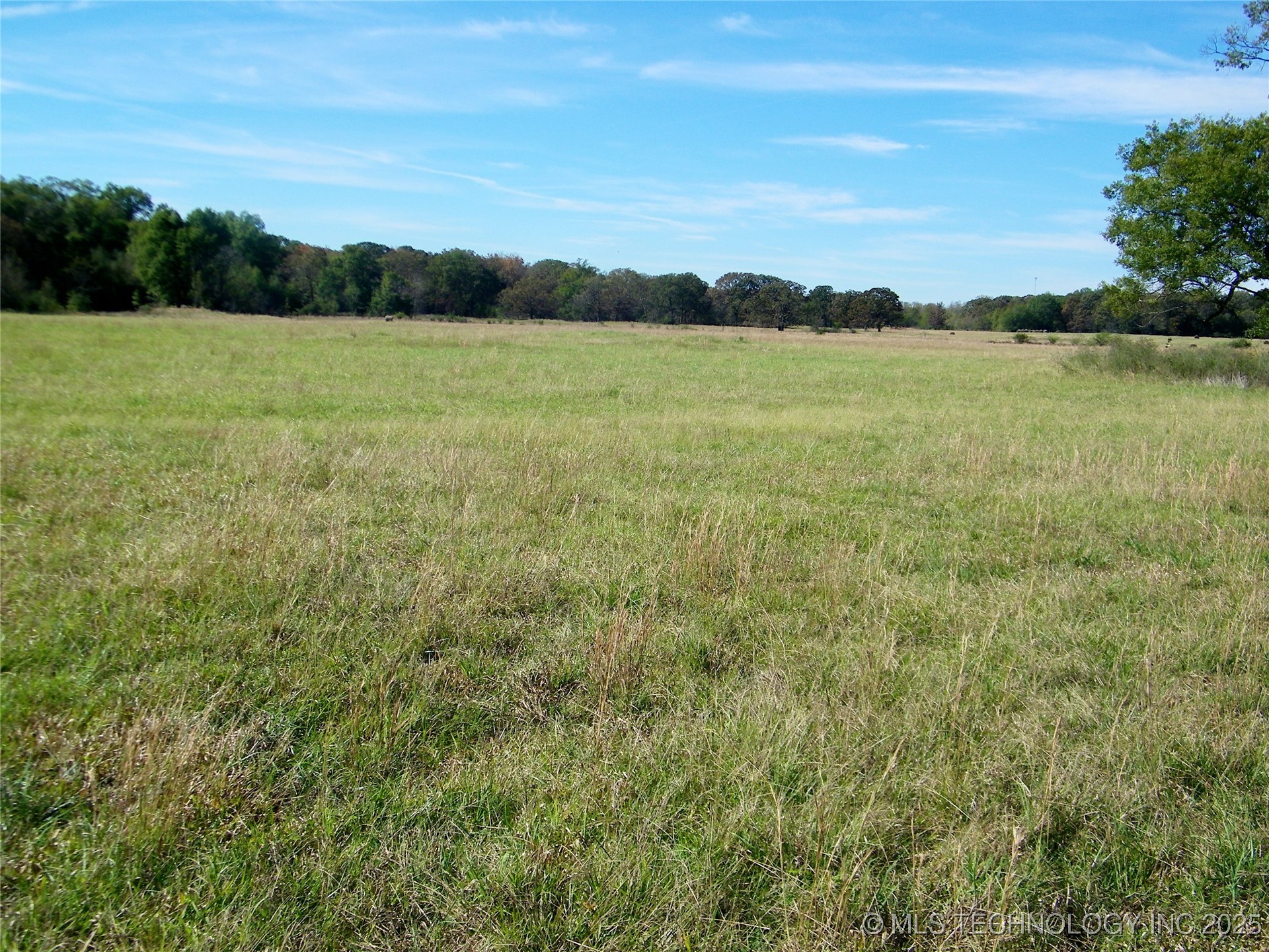3 Fossil Ridge