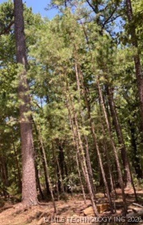 Whispering Pine Antlers OK 74523