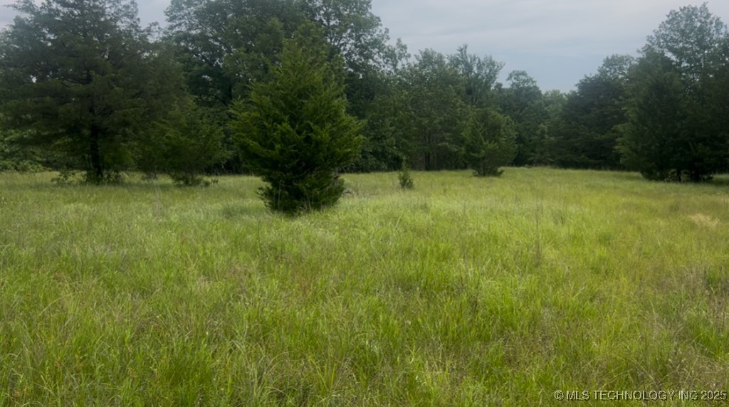 3900 N Sassafrass Road