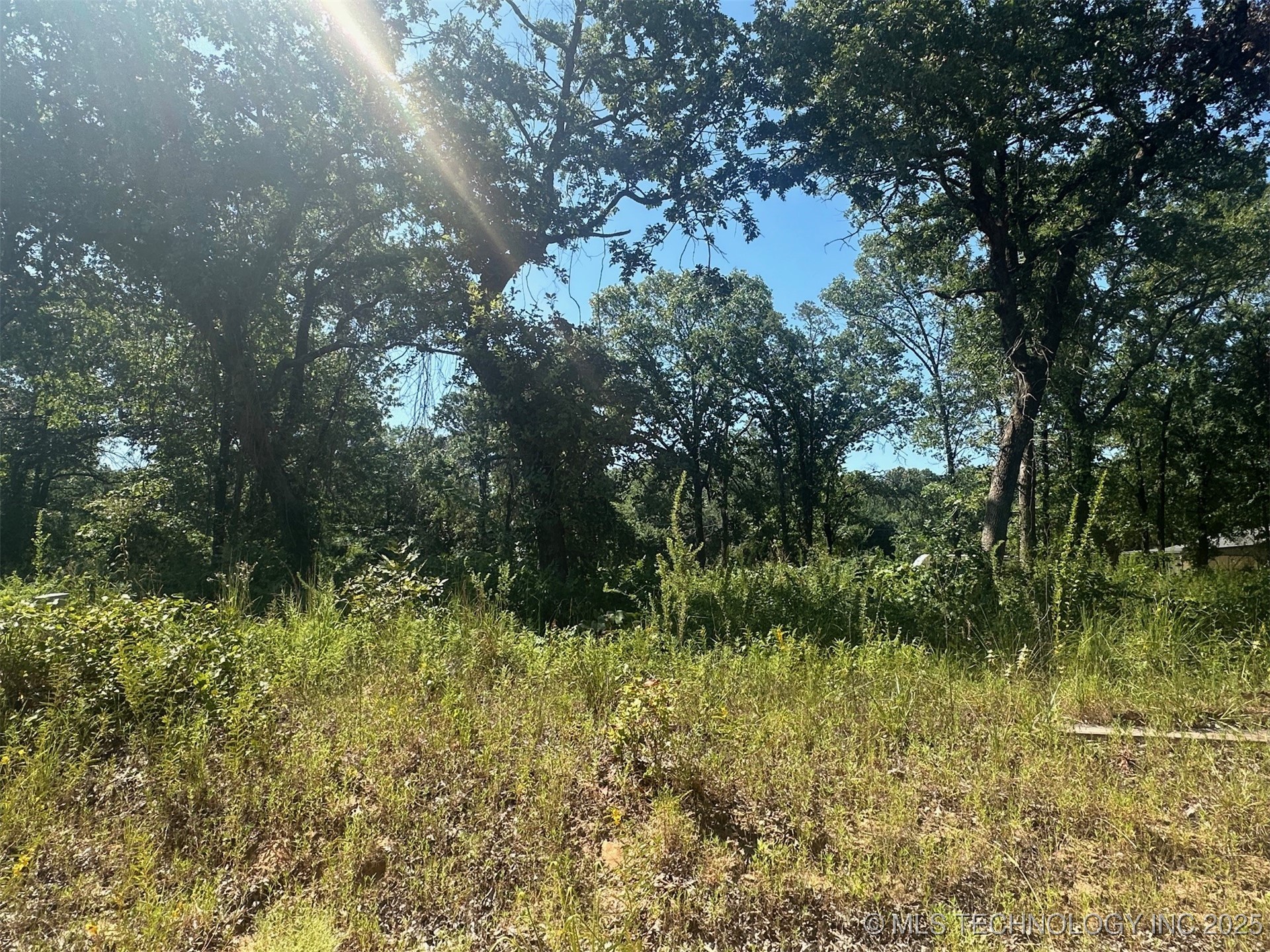 1 Driftwood Road