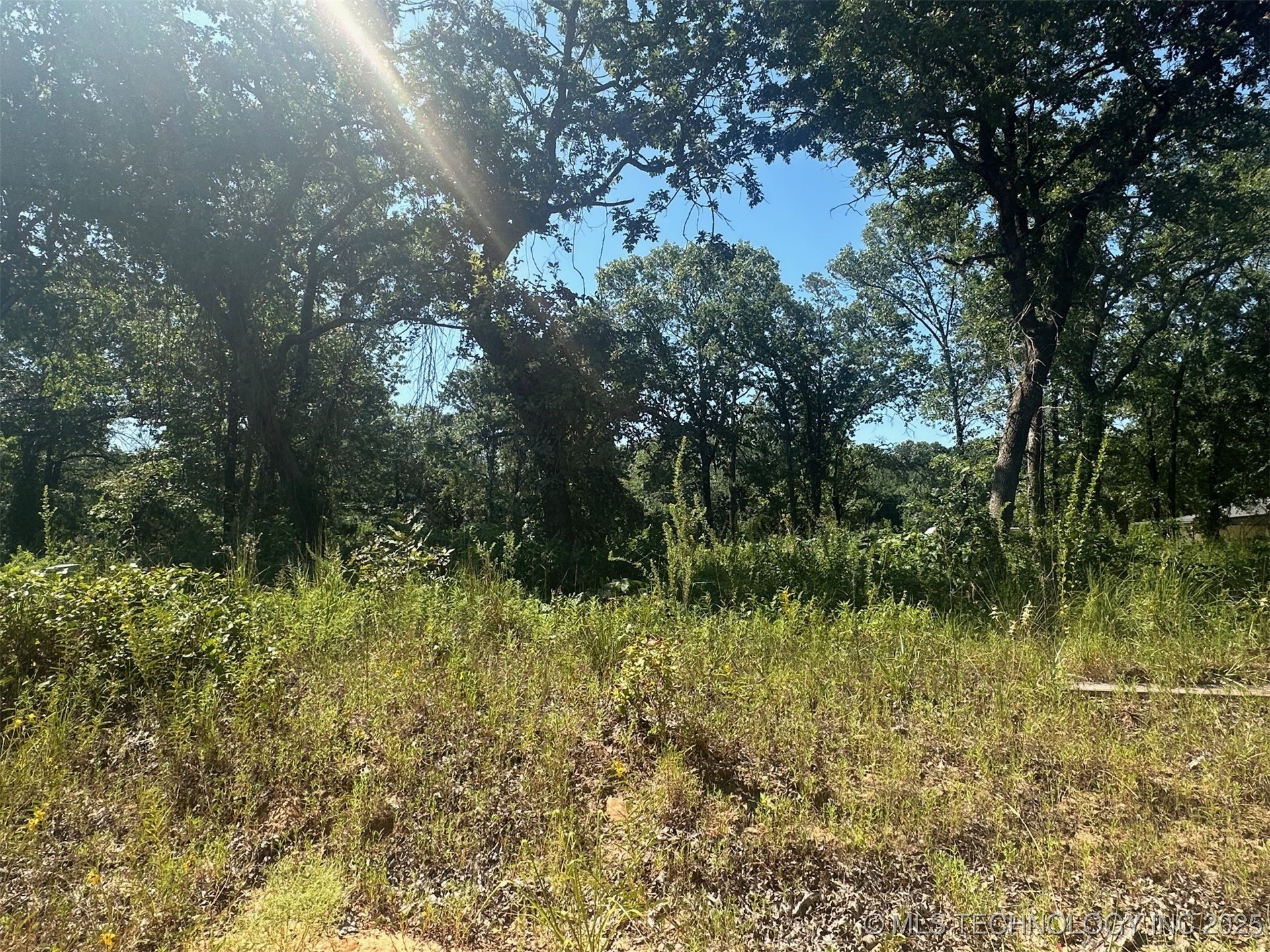 1 Driftwood Road