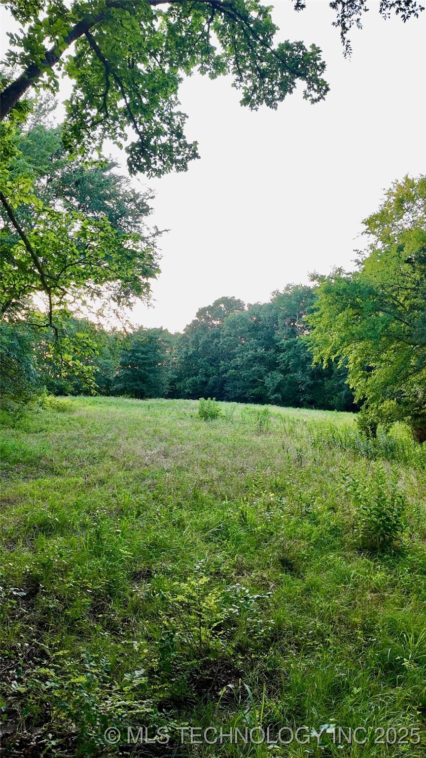 Harbert Drive