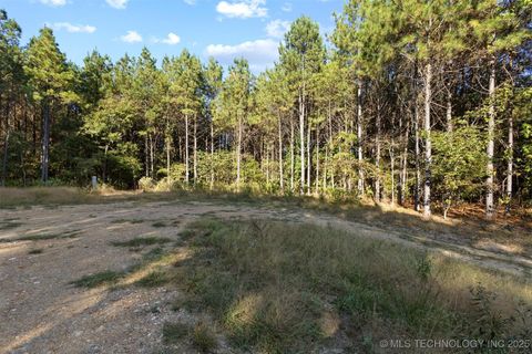 134 Wolf Tree Trail Broken Bow OK 74728