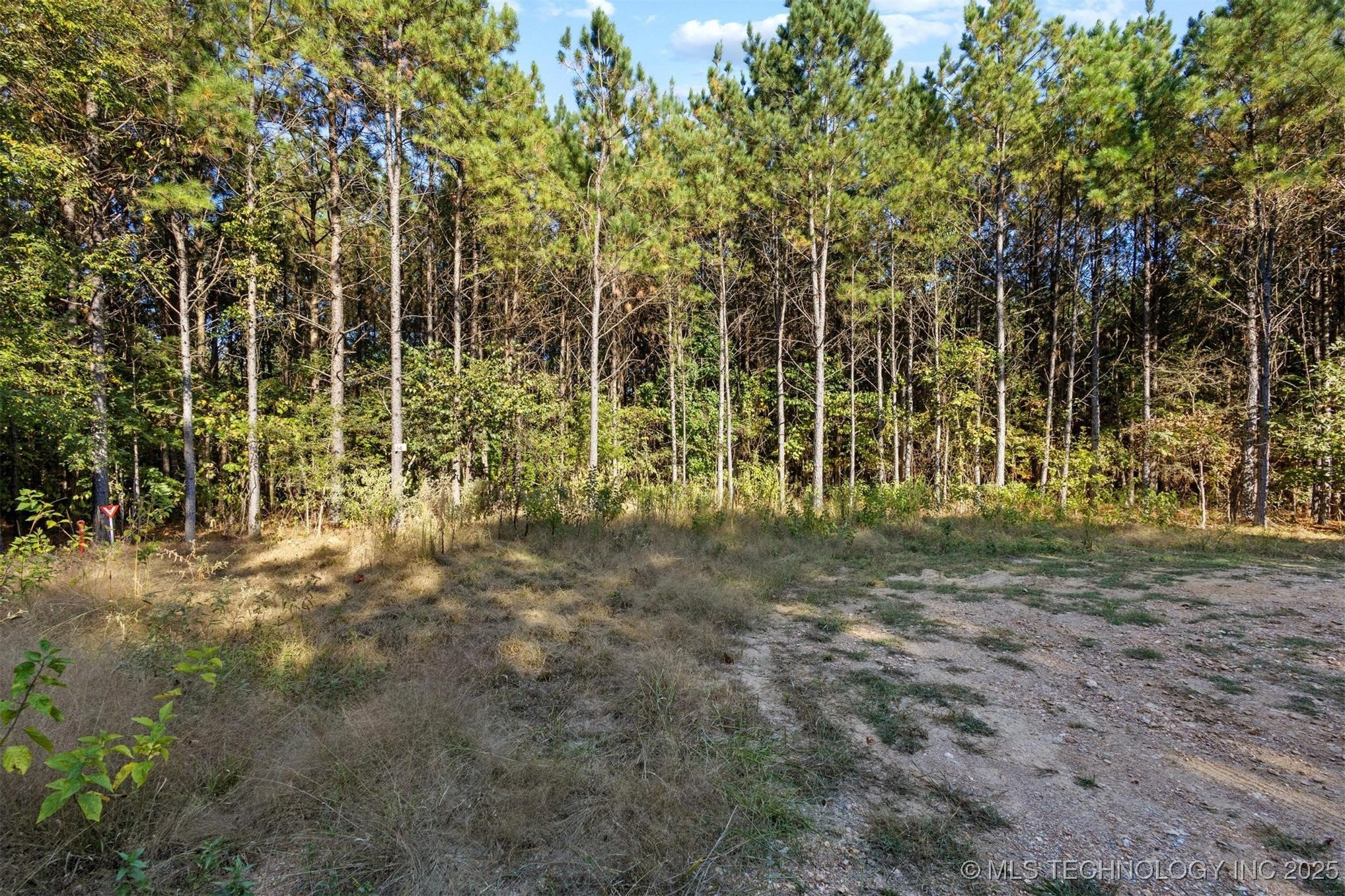 134 Wolf Tree Trail