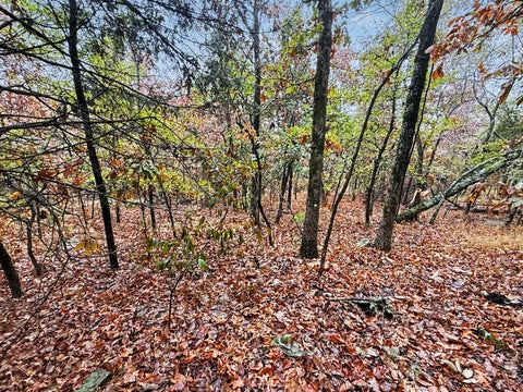 Photo of S 4545 Loop, Vian, OK 74962 (MLS # 2636512)