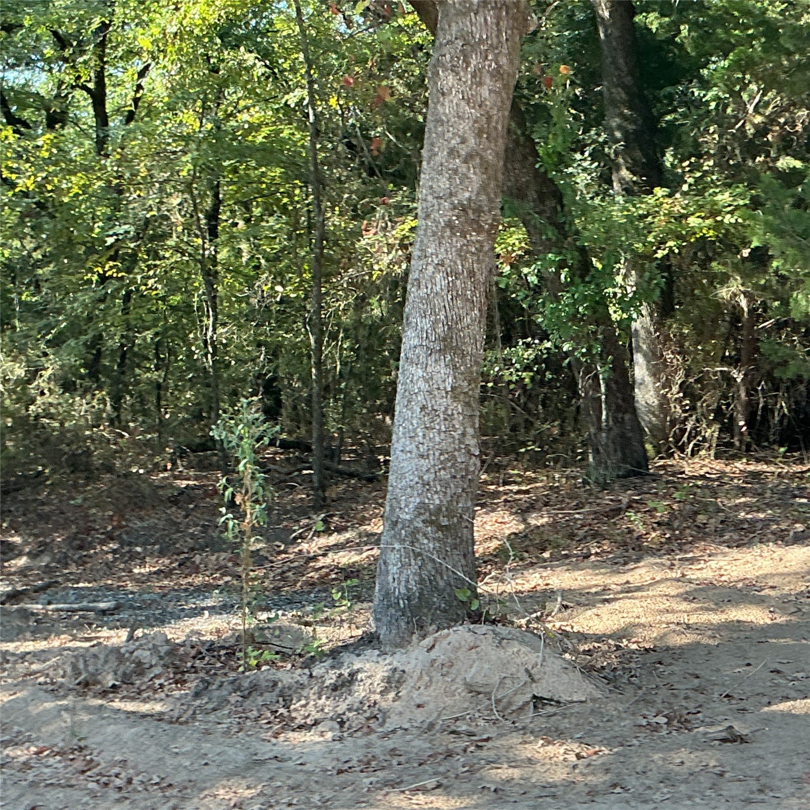 Copper Creek Circle