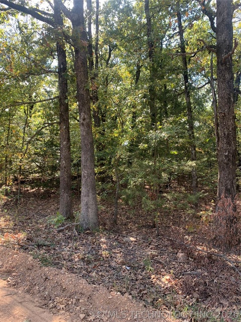 Photo of S 4530 Road, Vian, OK 74962 (MLS # 2622587)