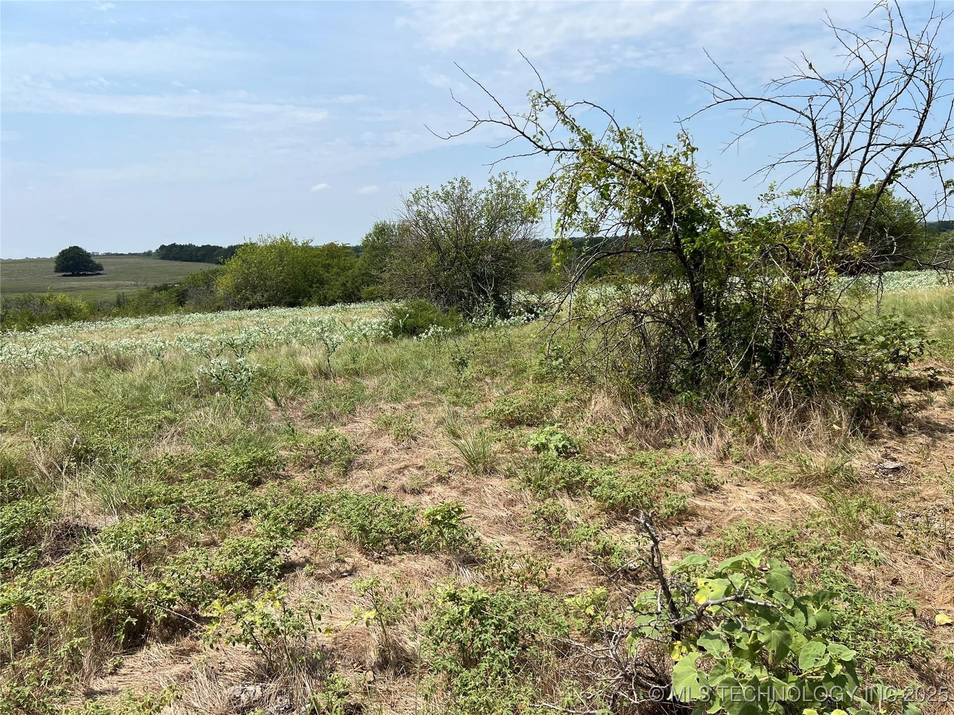 Haynie Road