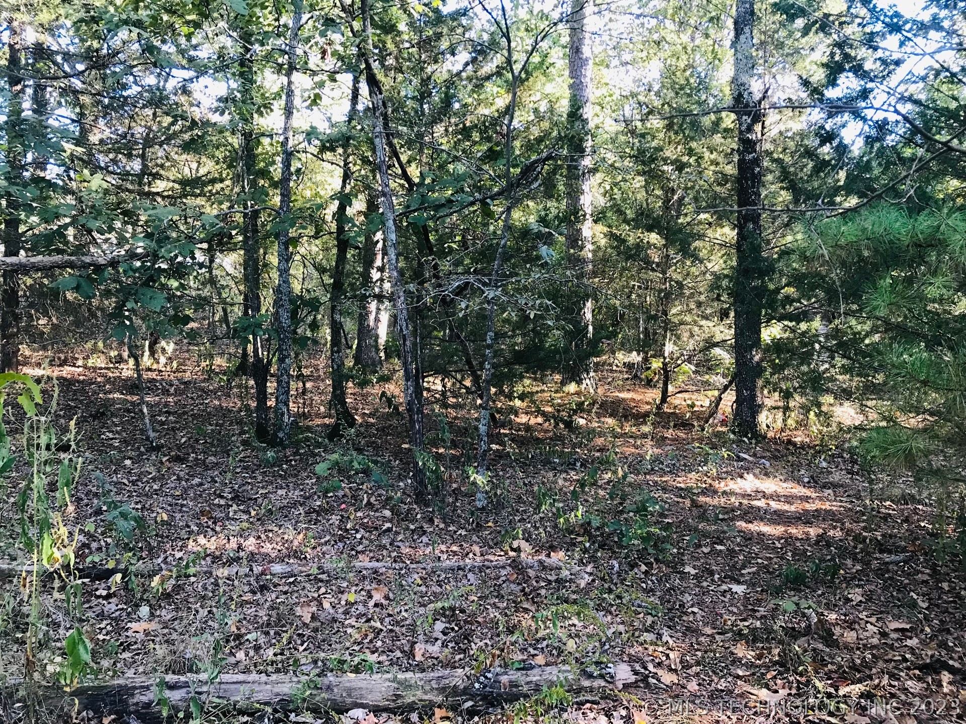 Photo 5 of 13 of S 551 Road land