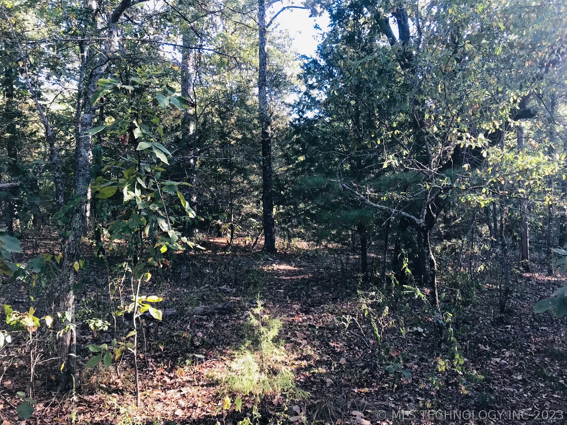 Photo 4 of 13 of S 551 Road land