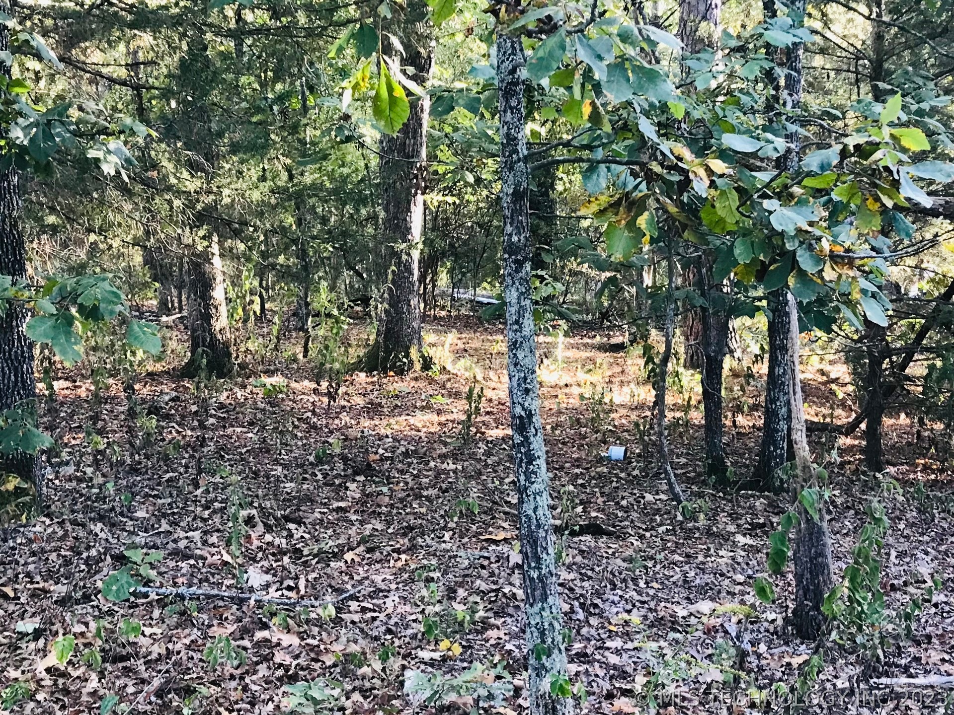 Photo 10 of 13 of S 551 Road land