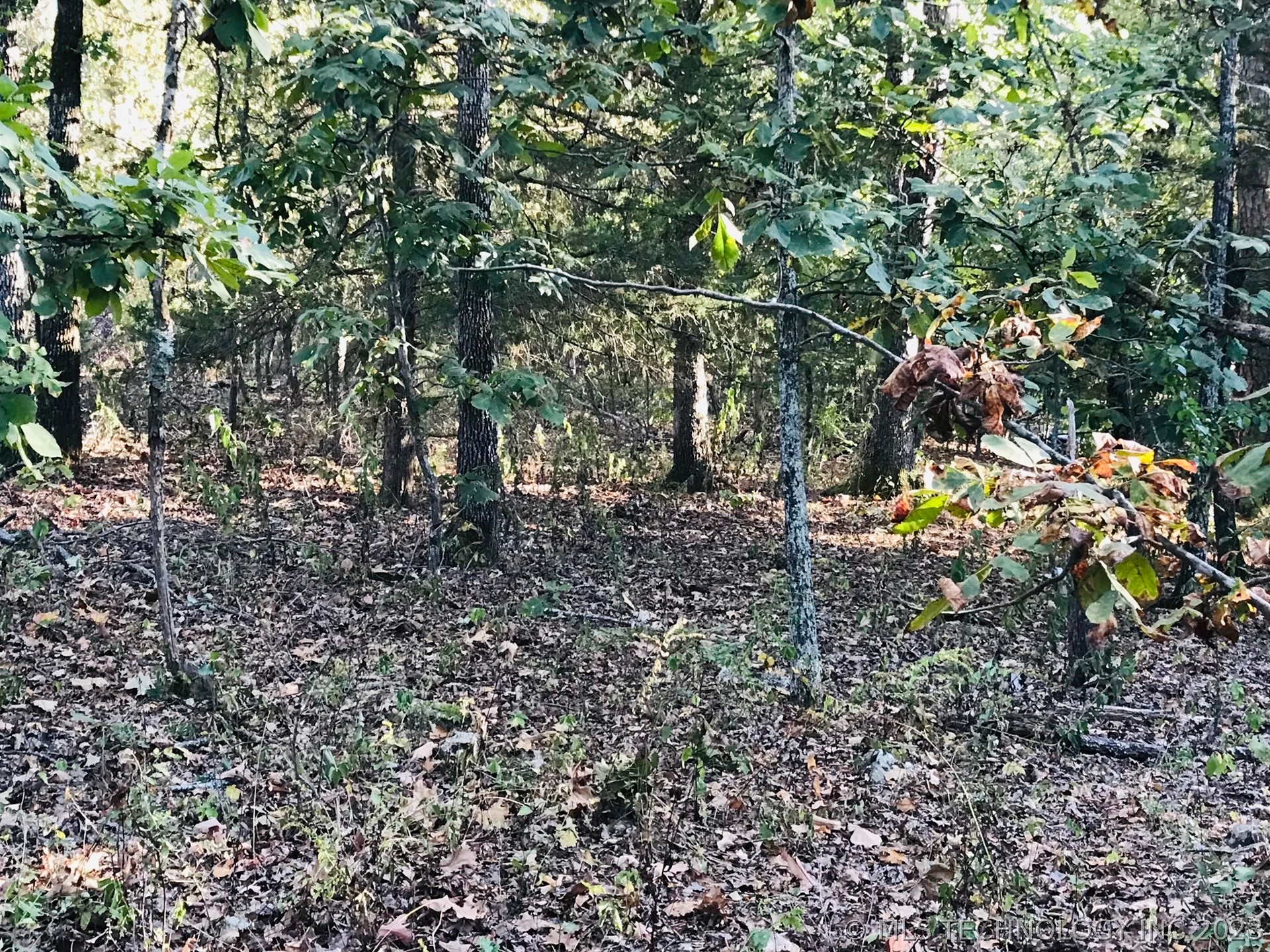 Photo 9 of 13 of S 551 Road land