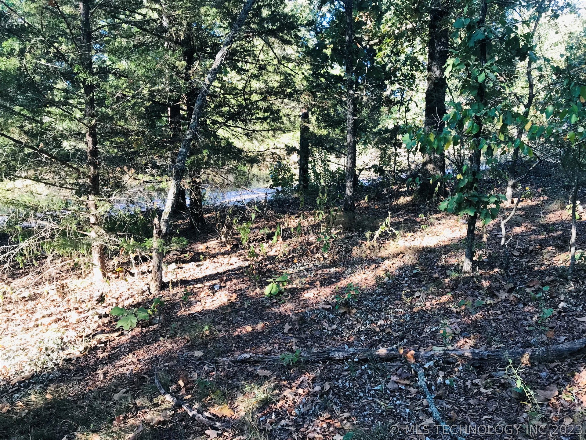 Photo 6 of 13 of S 551 Road land