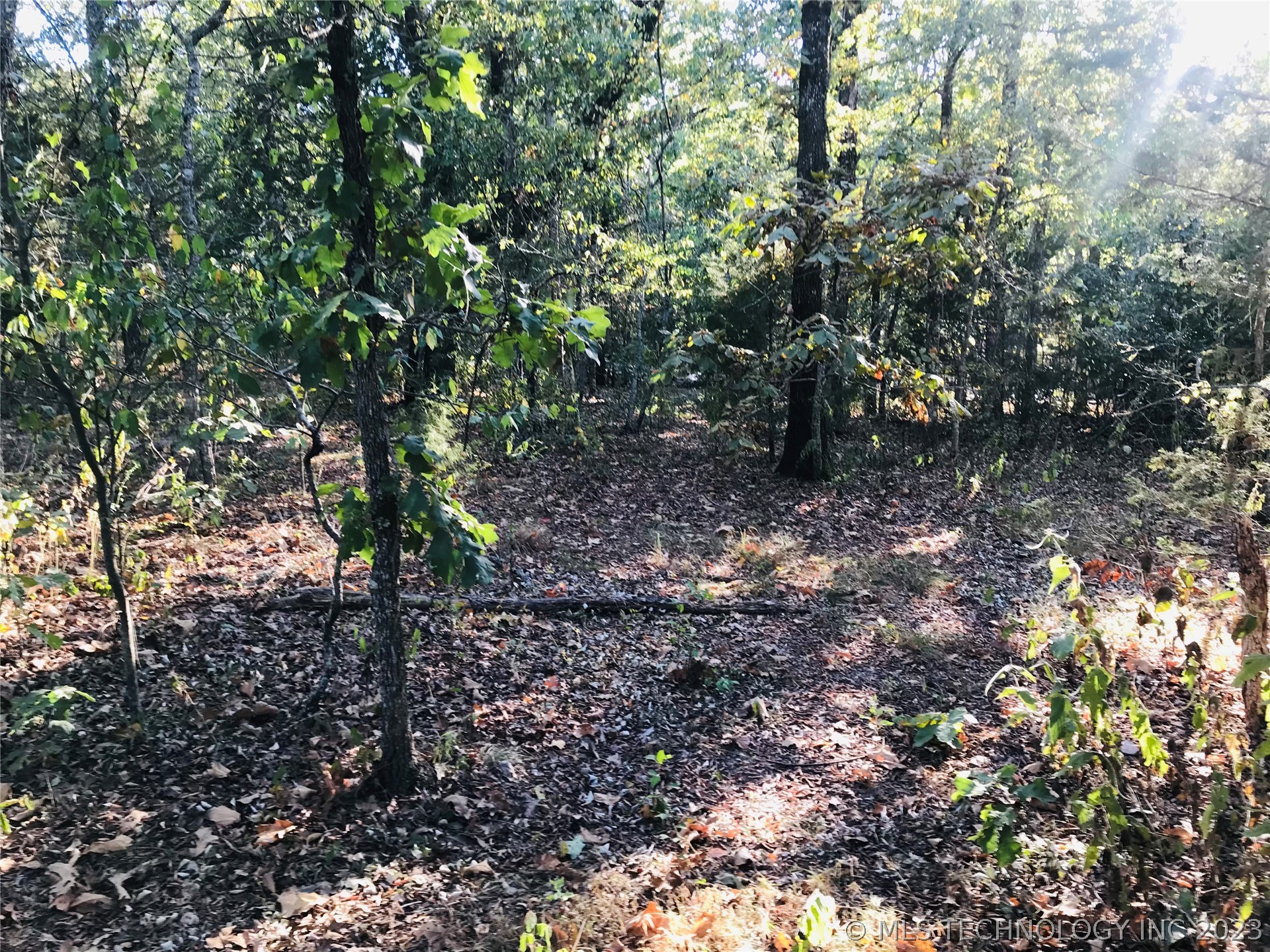 Photo 2 of 13 of S 551 Road land