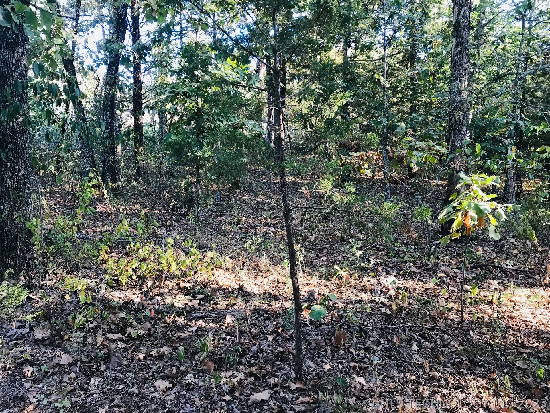 Photo 3 of 13 of S 551 Road land