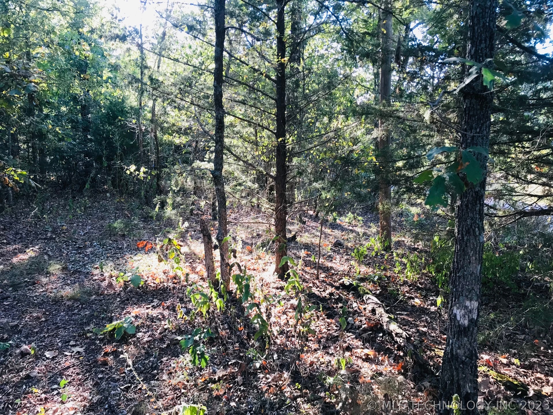 Photo 12 of 13 of S 551 Road land