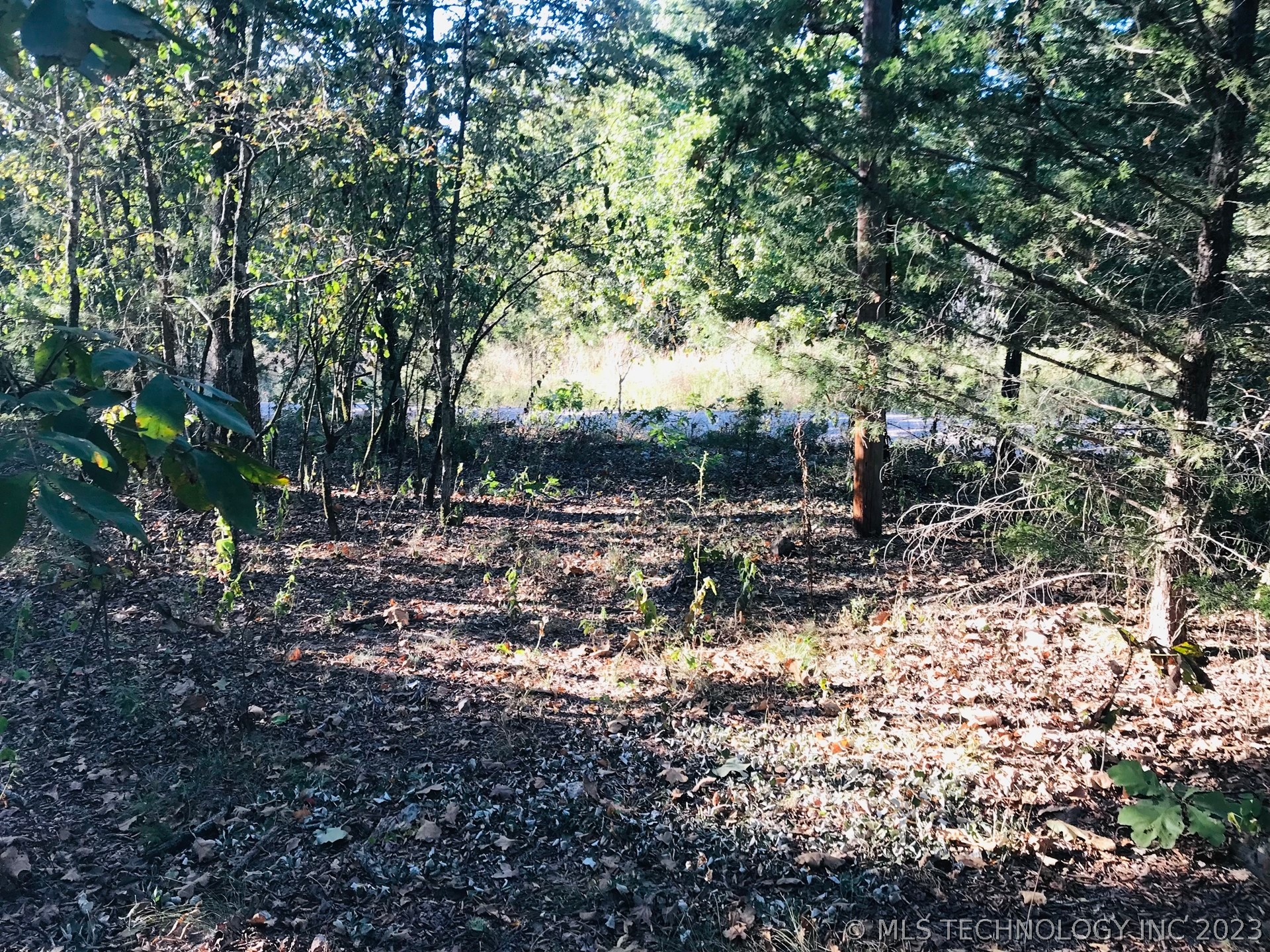 Photo 7 of 13 of S 551 Road land
