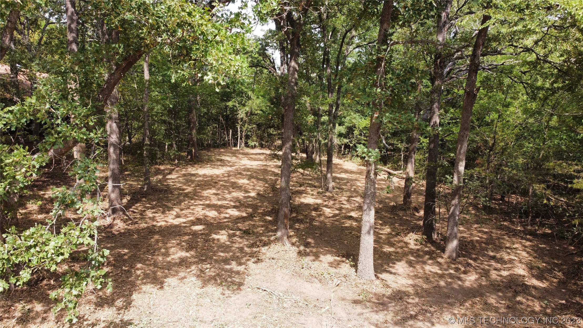 Photo 4 of 18 of 1386 Canadian Court land