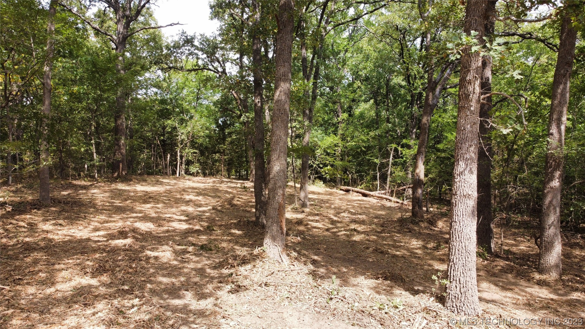 Photo 15 of 18 of 1386 Canadian Court land