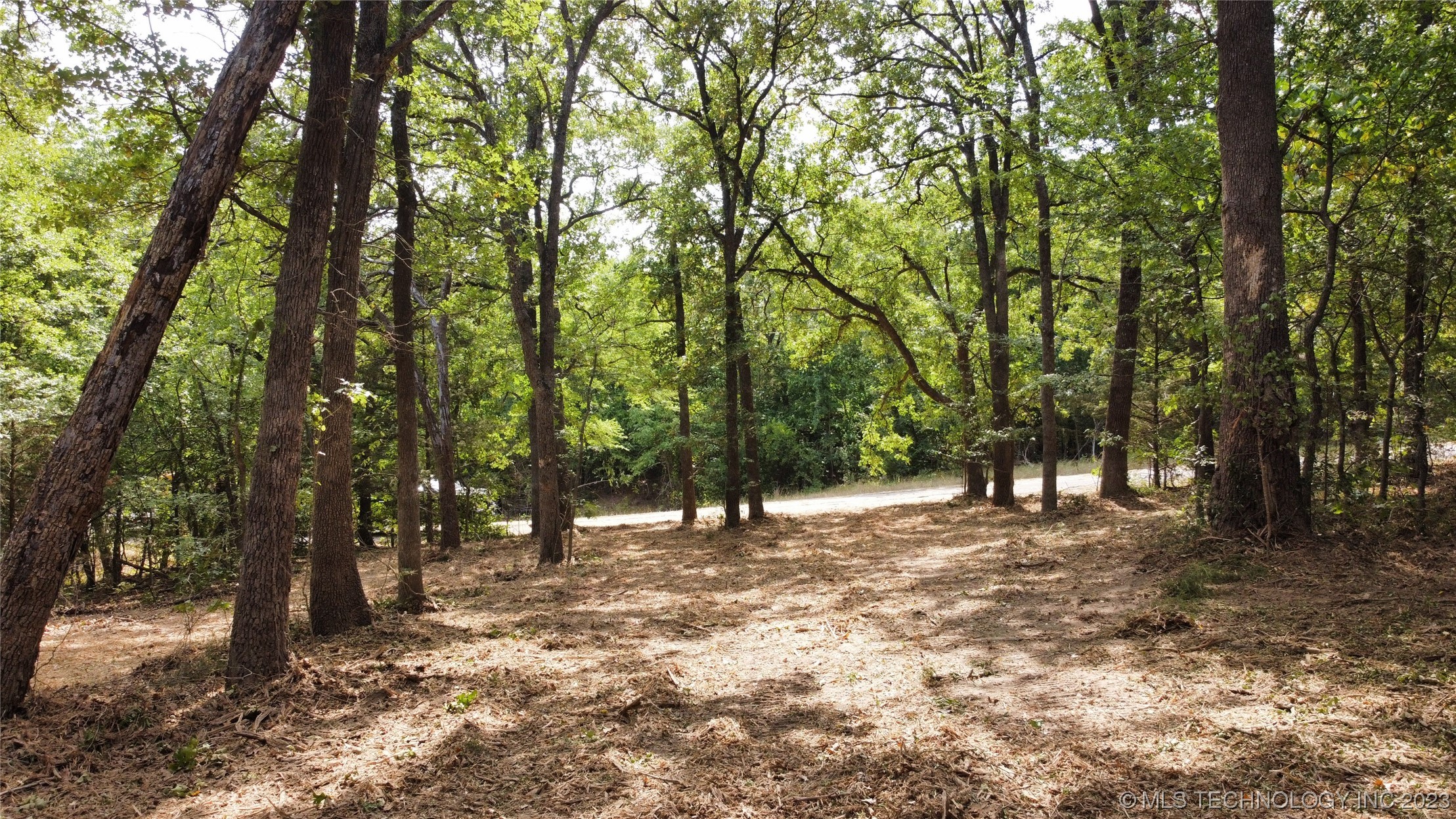 Photo 11 of 18 of 1386 Canadian Court land