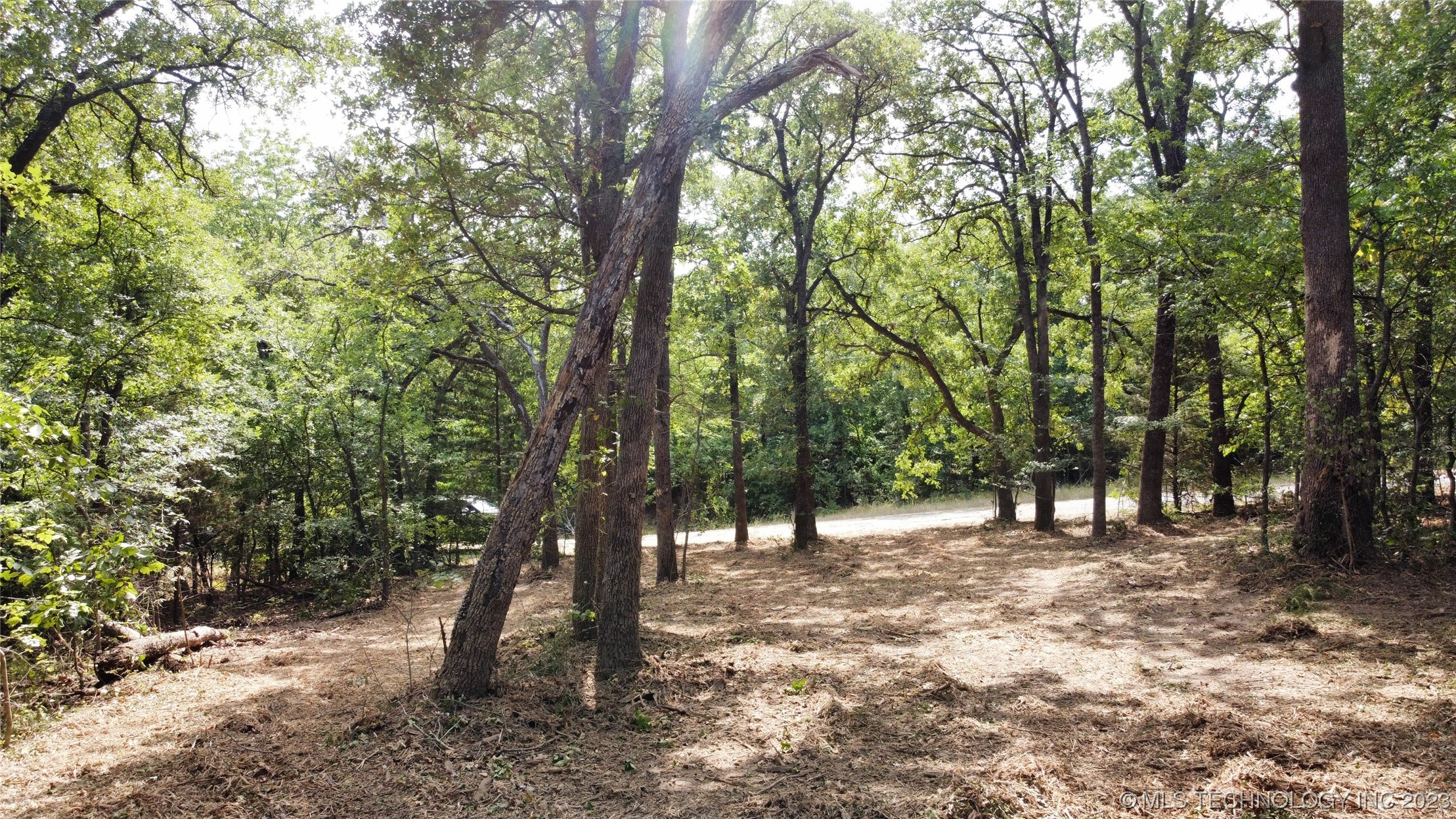 Photo 3 of 18 of 1386 Canadian Court land