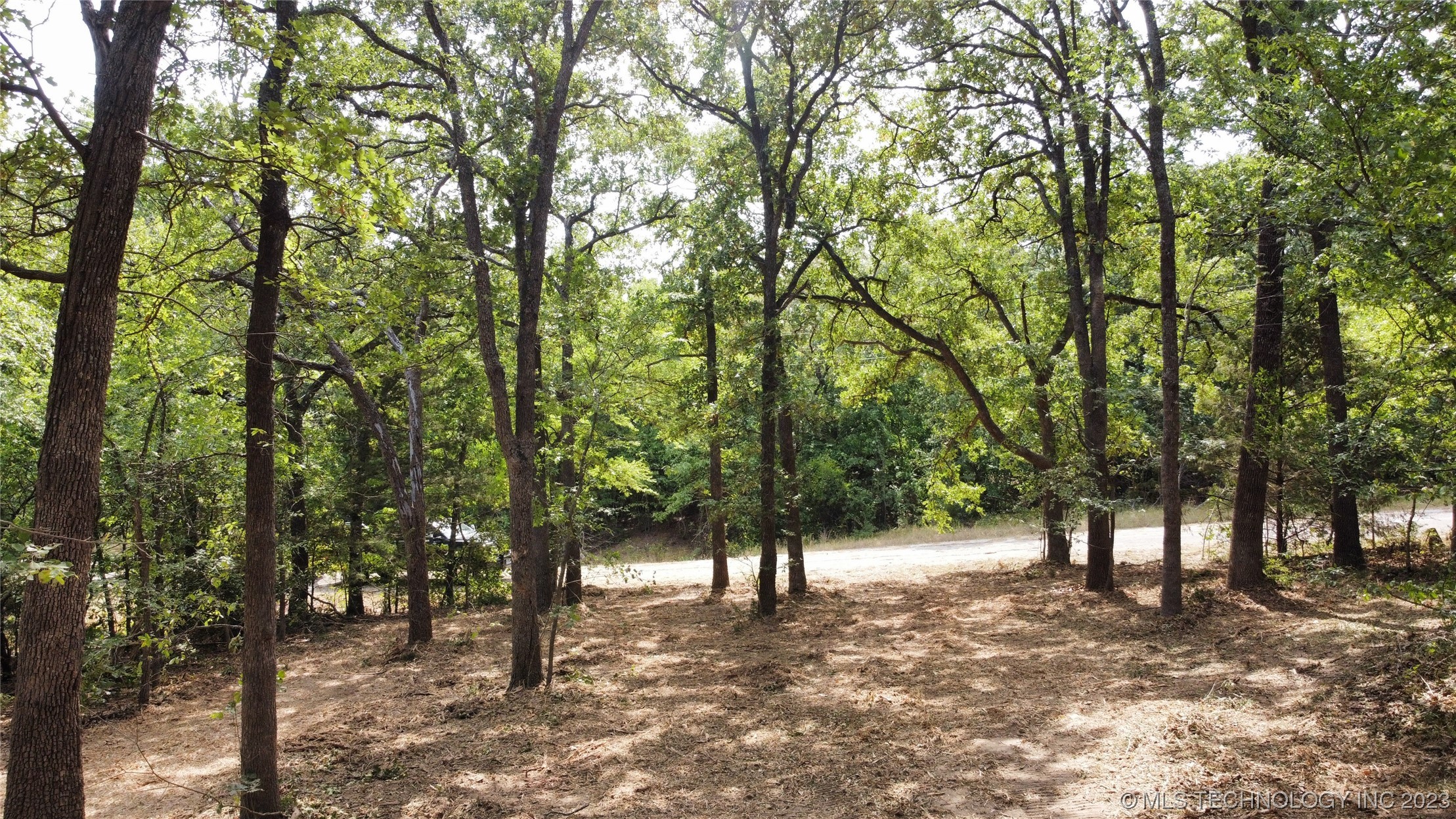 Photo 2 of 18 of 1386 Canadian Court land