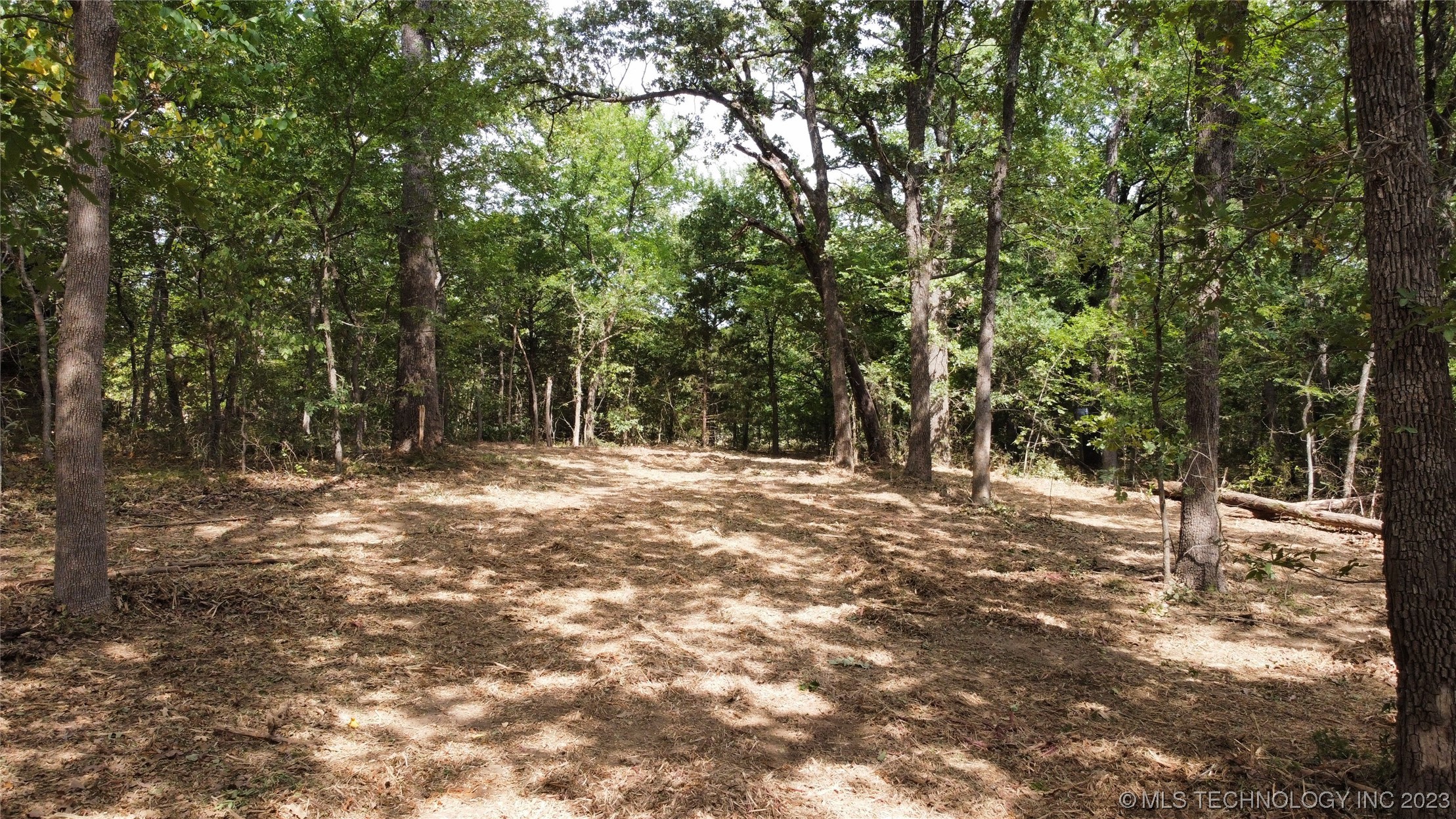 Photo 9 of 18 of 1386 Canadian Court land