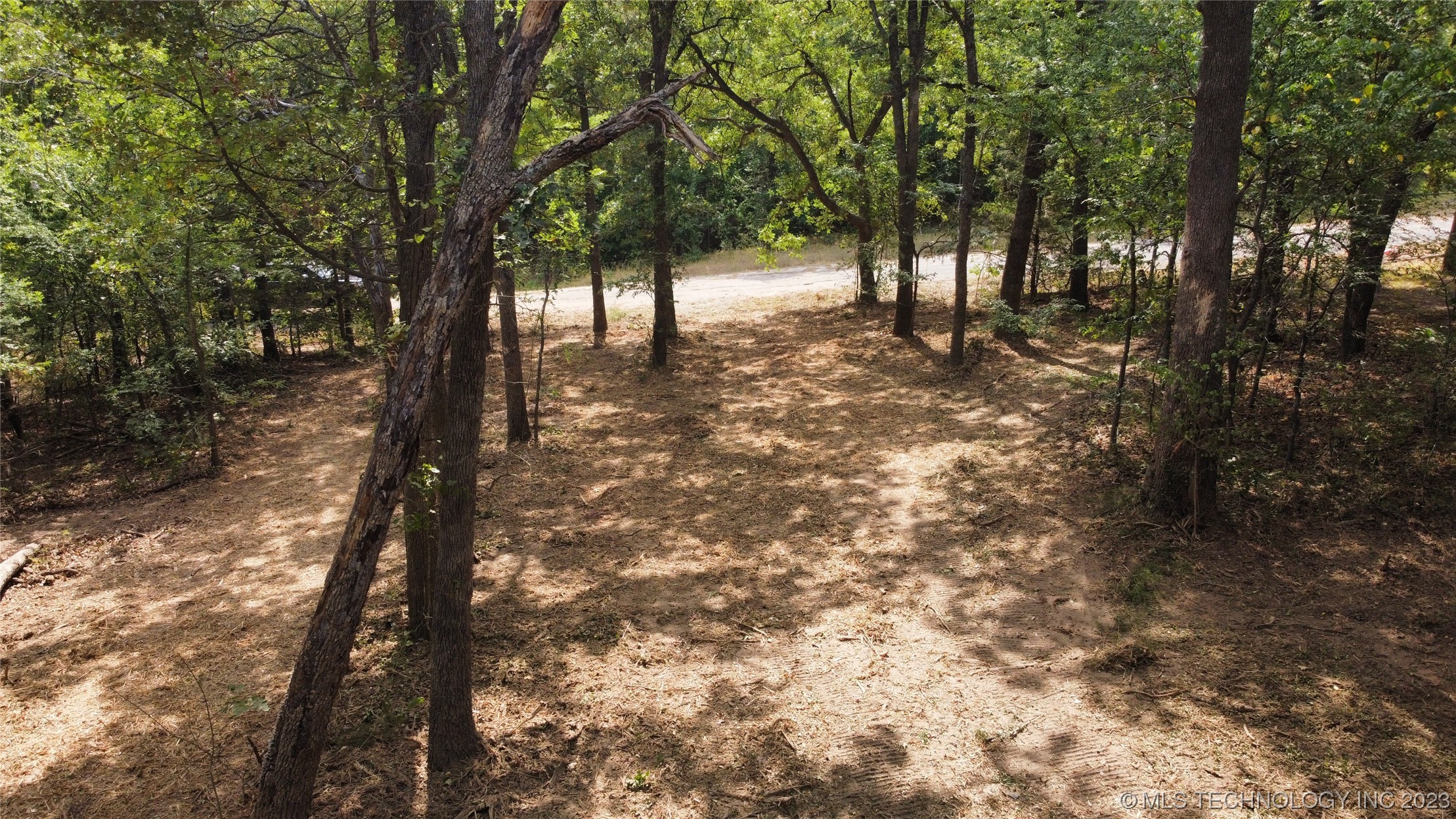 Photo 12 of 18 of 1386 Canadian Court land