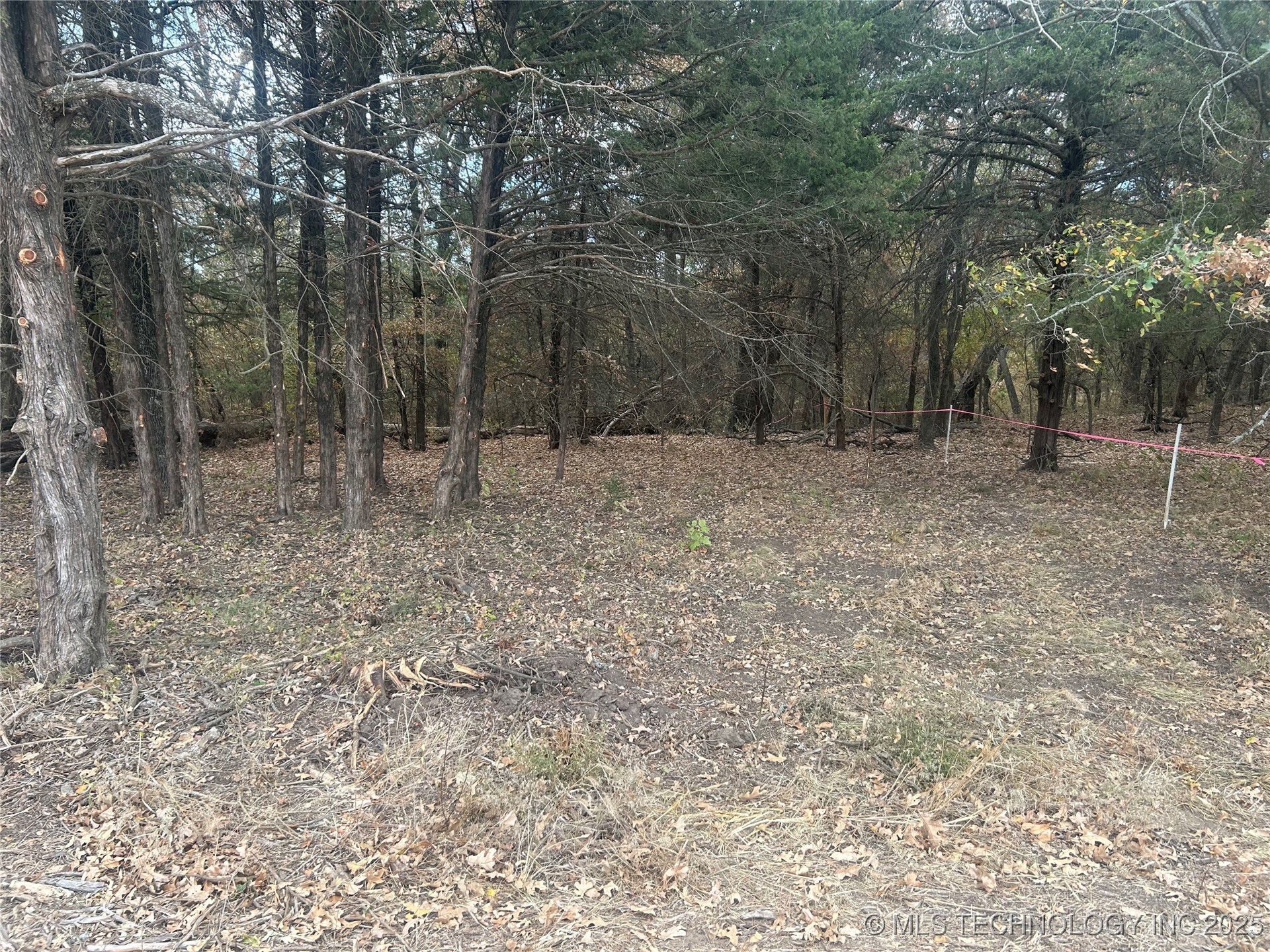 Sexton Road