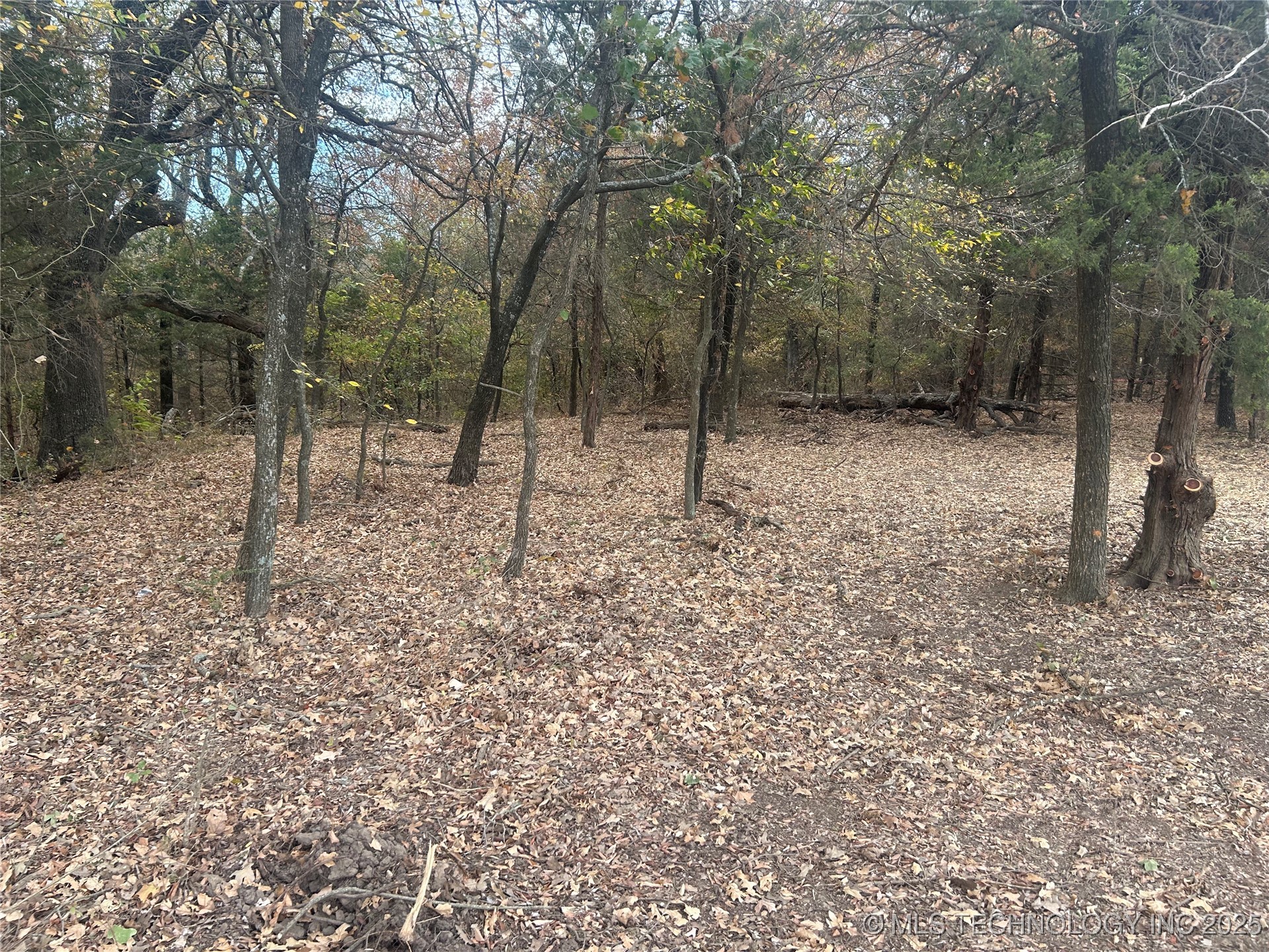 Sexton Road