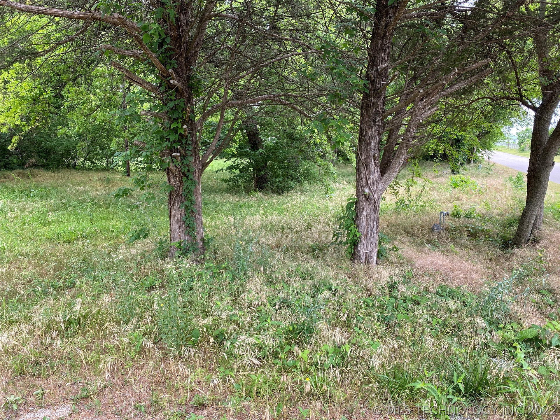 Photo 2 of 5 of 230 Pruitt Road land