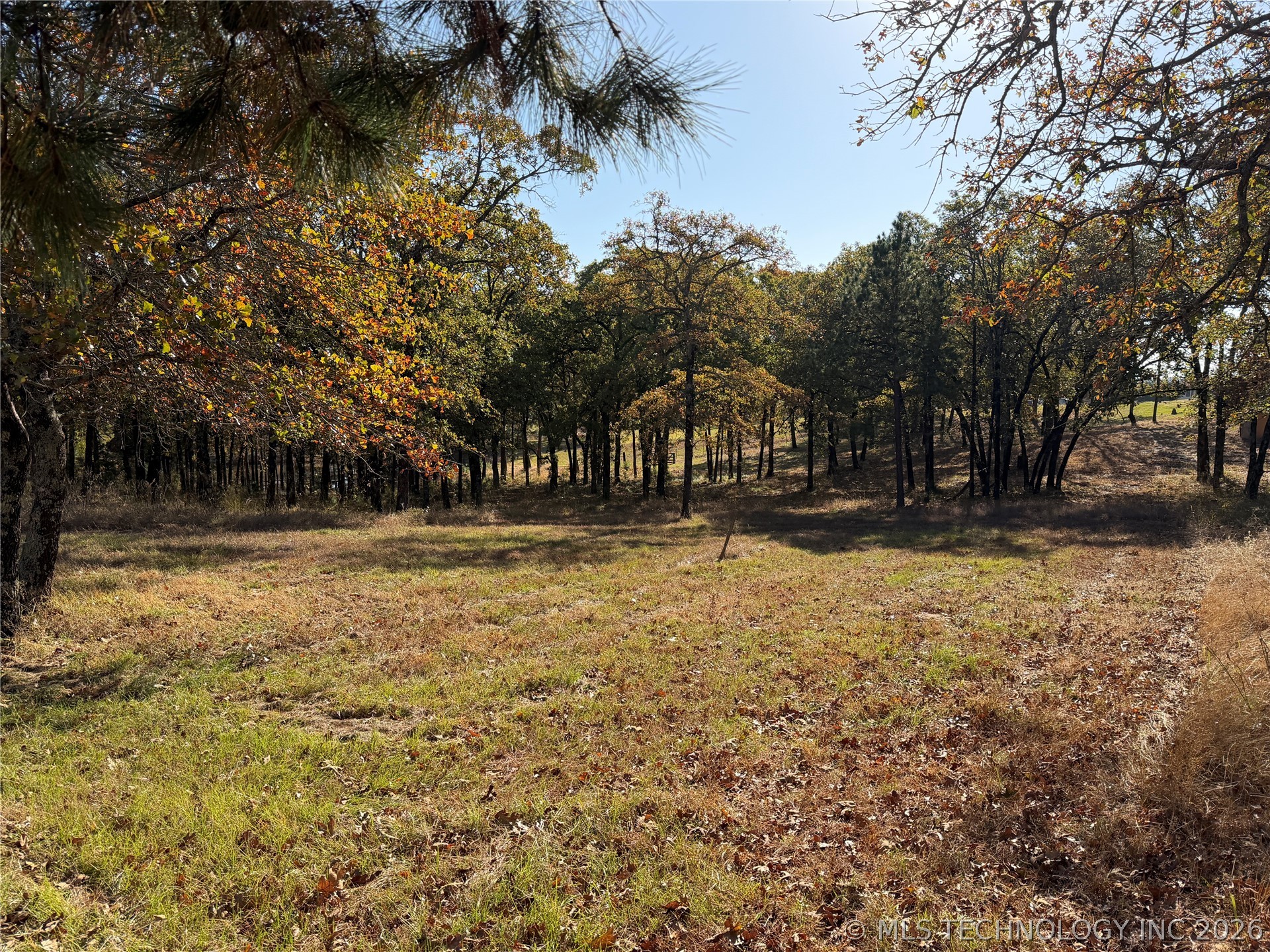 15552 S Highway 109A