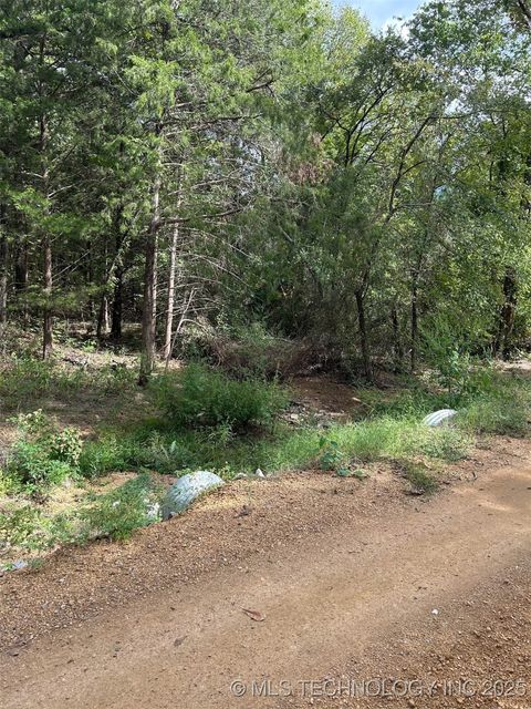 1431 W Easy Street Tishomingo OK 73460