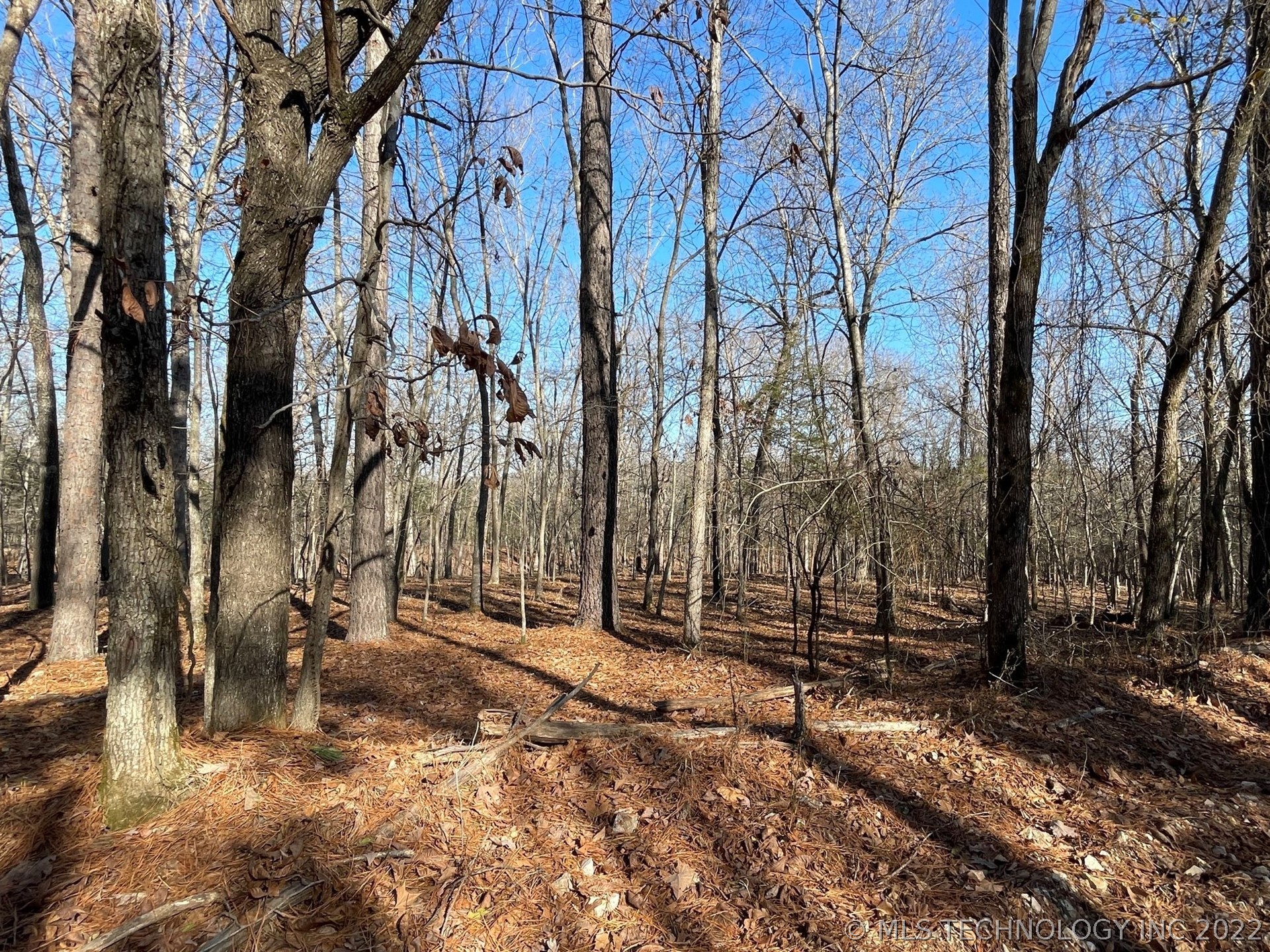 Photo 7 of 13 of 319 Bailey Boulevard land