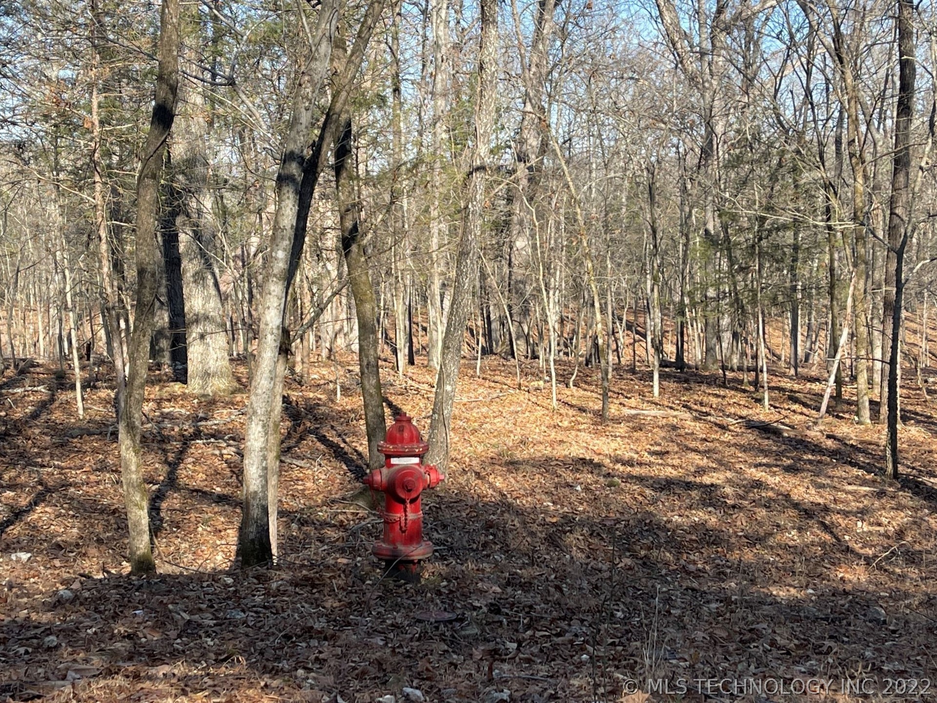 Photo 2 of 13 of 319 Bailey Boulevard land