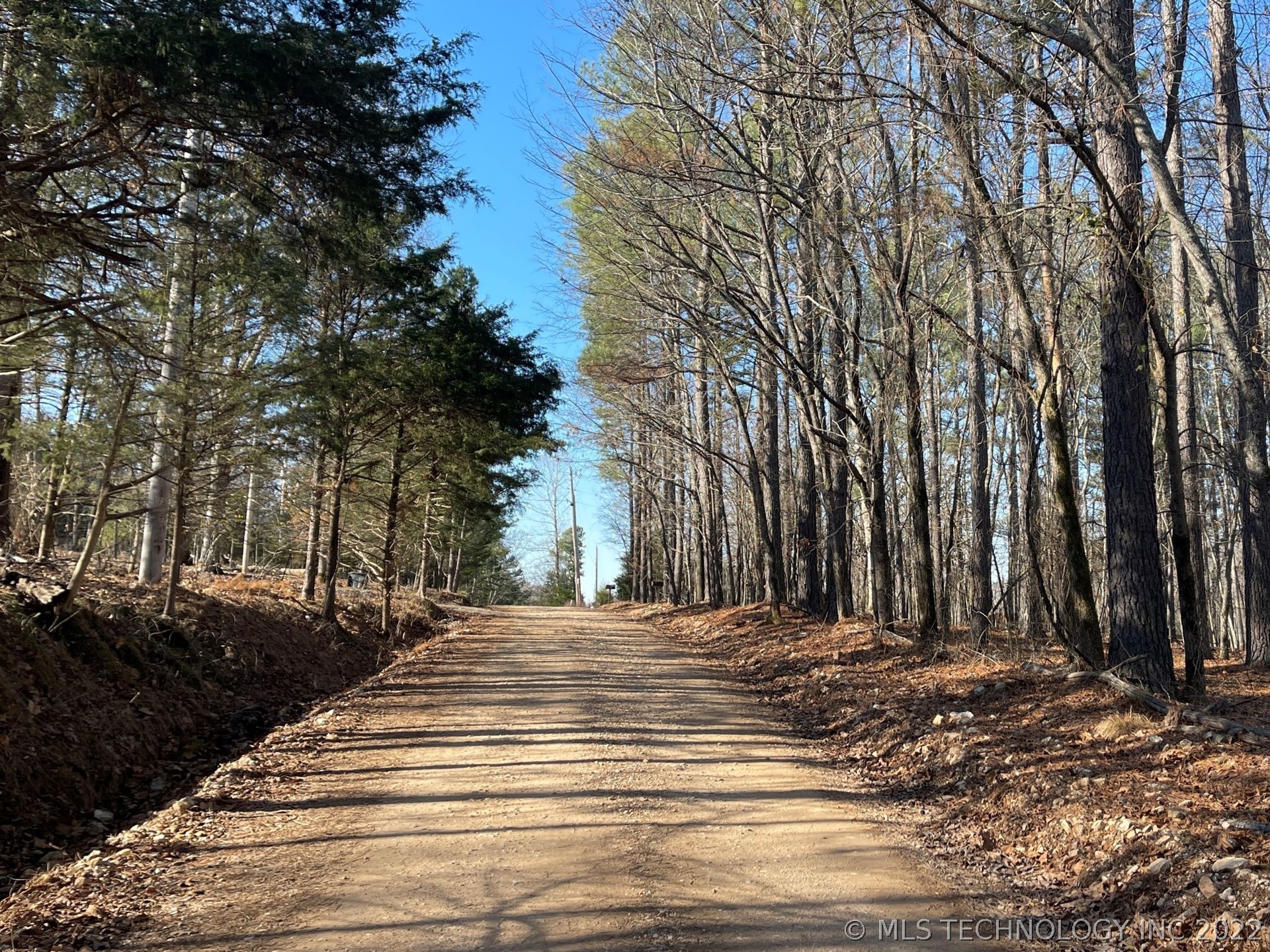 Photo 9 of 13 of 319 Bailey Boulevard land