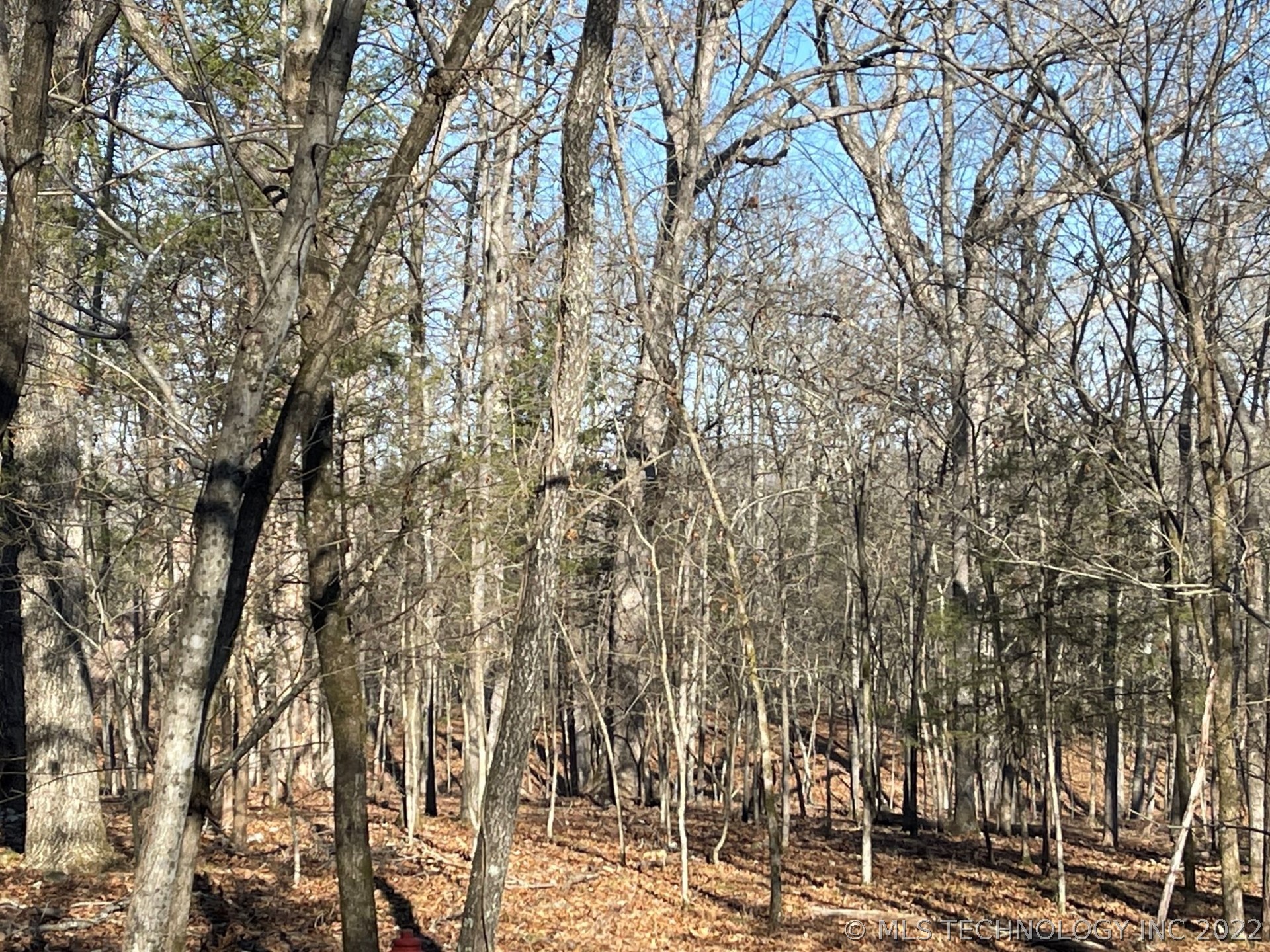 Photo 4 of 13 of 319 Bailey Boulevard land
