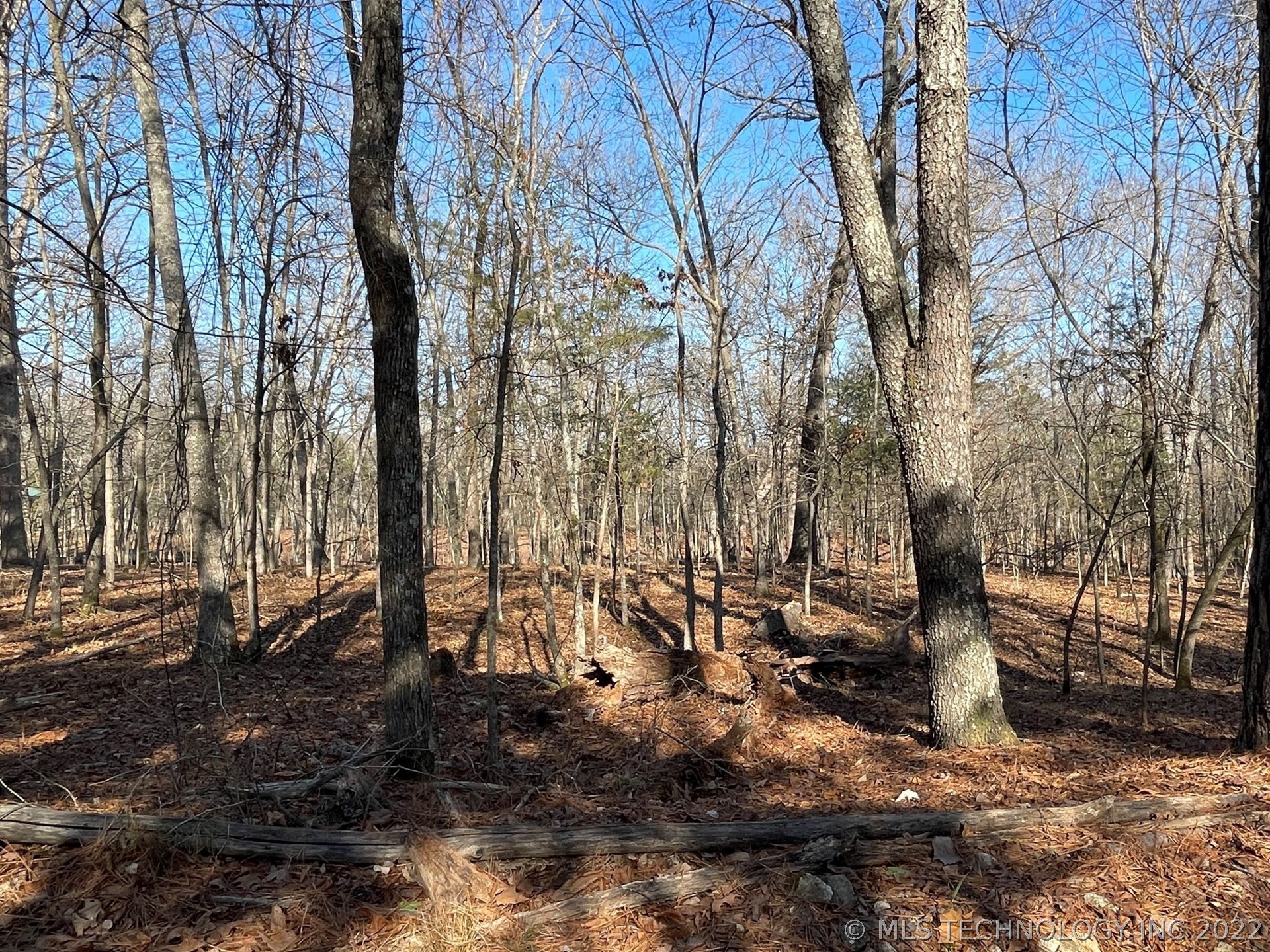 Photo 5 of 13 of 319 Bailey Boulevard land