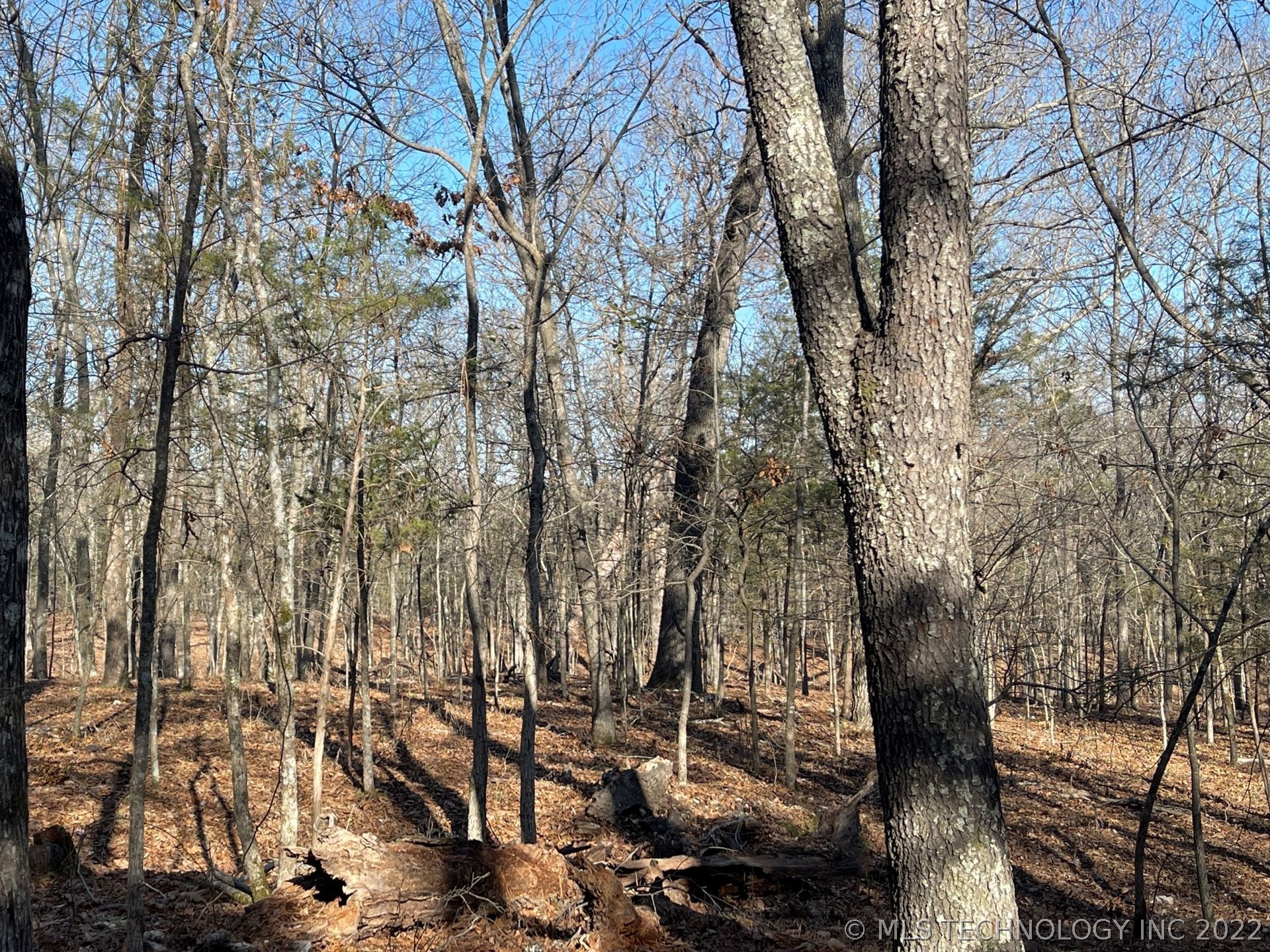 Photo 6 of 13 of 319 Bailey Boulevard land