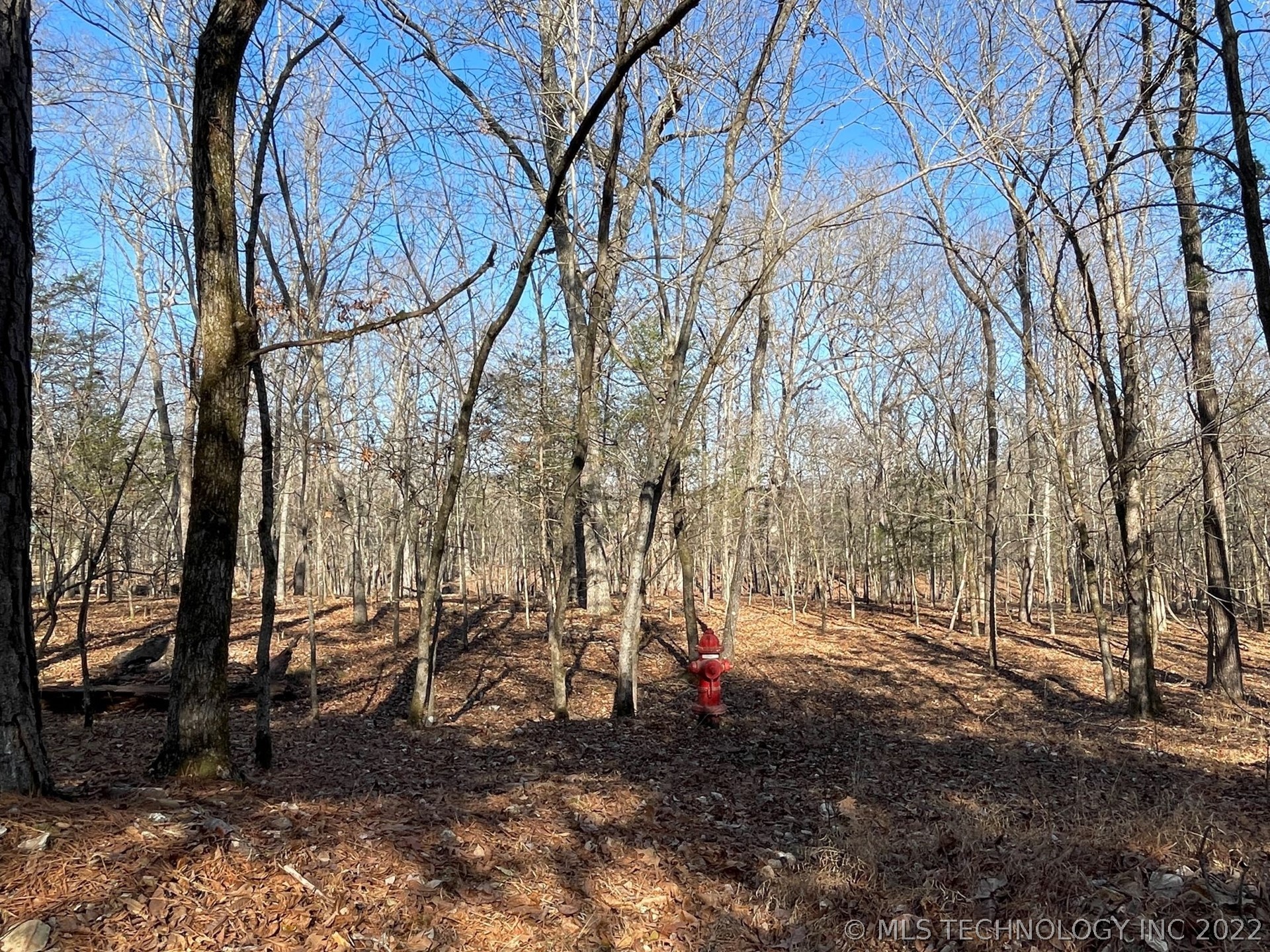 Photo 3 of 13 of 319 Bailey Boulevard land