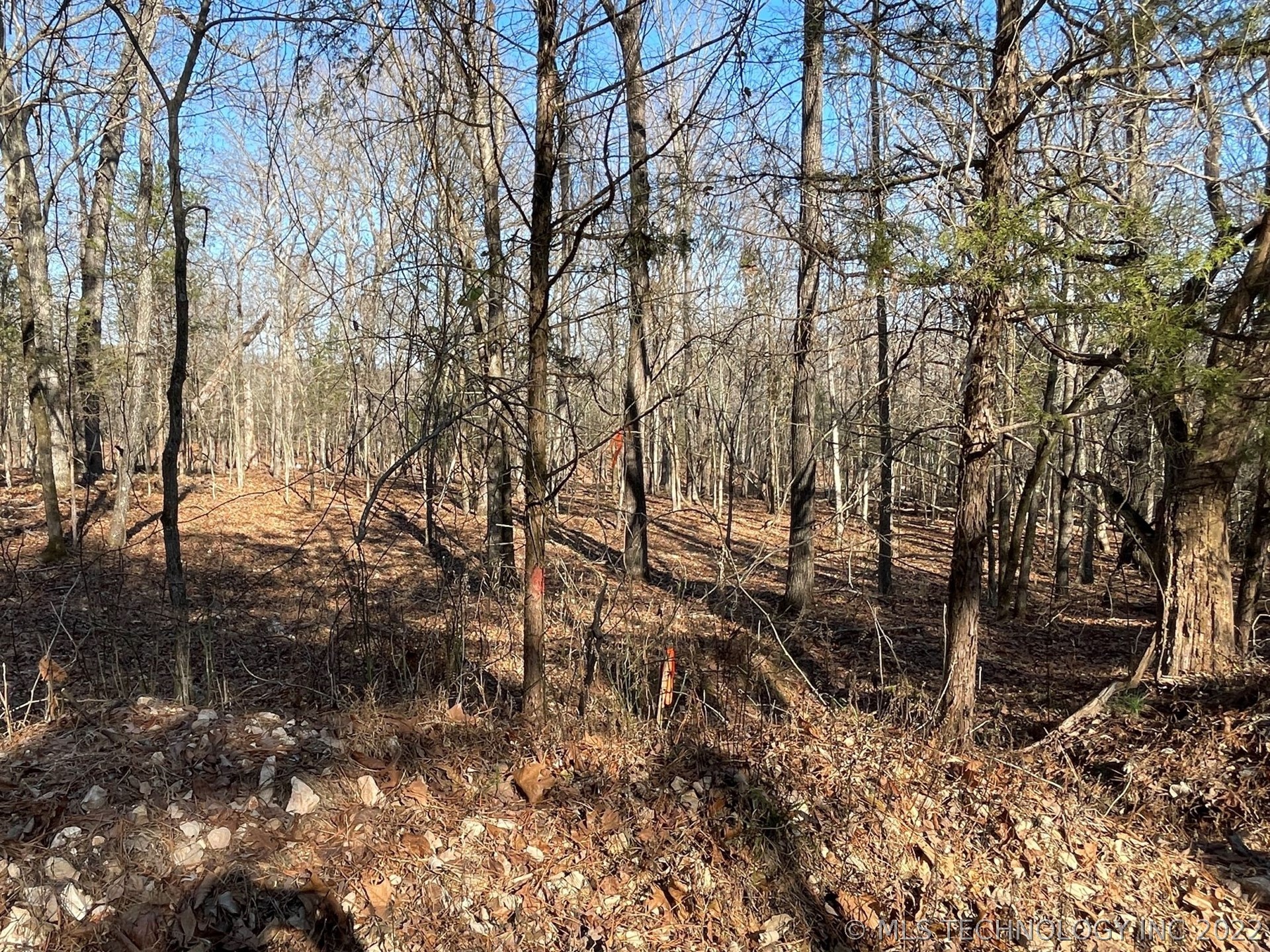 Photo 8 of 13 of 319 Bailey Boulevard land